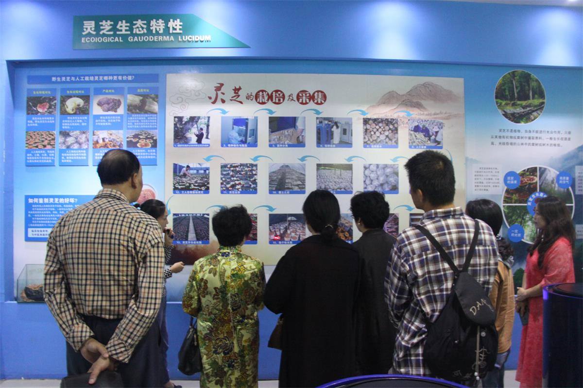 中國靈芝十大品牌|仙客來靈芝|仙客來靈芝破壁孢子粉|仙客來孢子油|仙客來靈芝飲片|仙客來破壁孢子粉|仙客來靈芝中藥飲片|馳名商標(biāo)|m.aimlin.com| 中國靈芝十大品牌|仙客來靈芝|仙客來靈芝破壁孢子粉|仙客來孢子油|仙客來靈芝飲片|仙客來破壁孢子粉|仙客來靈芝中藥飲片|馳名商標(biāo)|m.aimlin.com|