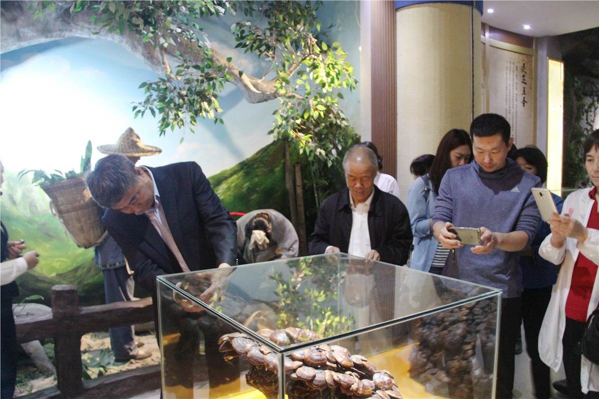 中國靈芝十大品牌|仙客來靈芝|仙客來靈芝破壁孢子粉|仙客來孢子油|仙客來靈芝飲片|仙客來破壁孢子粉|仙客來靈芝中藥飲片|馳名商標(biāo)|m.aimlin.com| 中國靈芝十大品牌|仙客來靈芝|仙客來靈芝破壁孢子粉|仙客來孢子油|仙客來靈芝飲片|仙客來破壁孢子粉|仙客來靈芝中藥飲片|馳名商標(biāo)|m.aimlin.com|