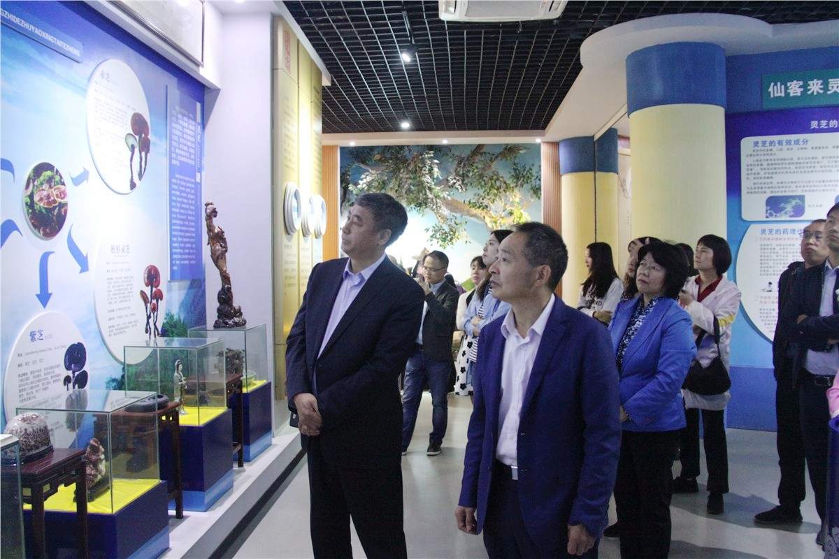 中國靈芝十大品牌|仙客來靈芝|仙客來靈芝破壁孢子粉|仙客來孢子油|仙客來靈芝飲片|仙客來破壁孢子粉|仙客來靈芝中藥飲片|馳名商標(biāo)|m.aimlin.com| 中國靈芝十大品牌|仙客來靈芝|仙客來靈芝破壁孢子粉|仙客來孢子油|仙客來靈芝飲片|仙客來破壁孢子粉|仙客來靈芝中藥飲片|馳名商標(biāo)|m.aimlin.com|