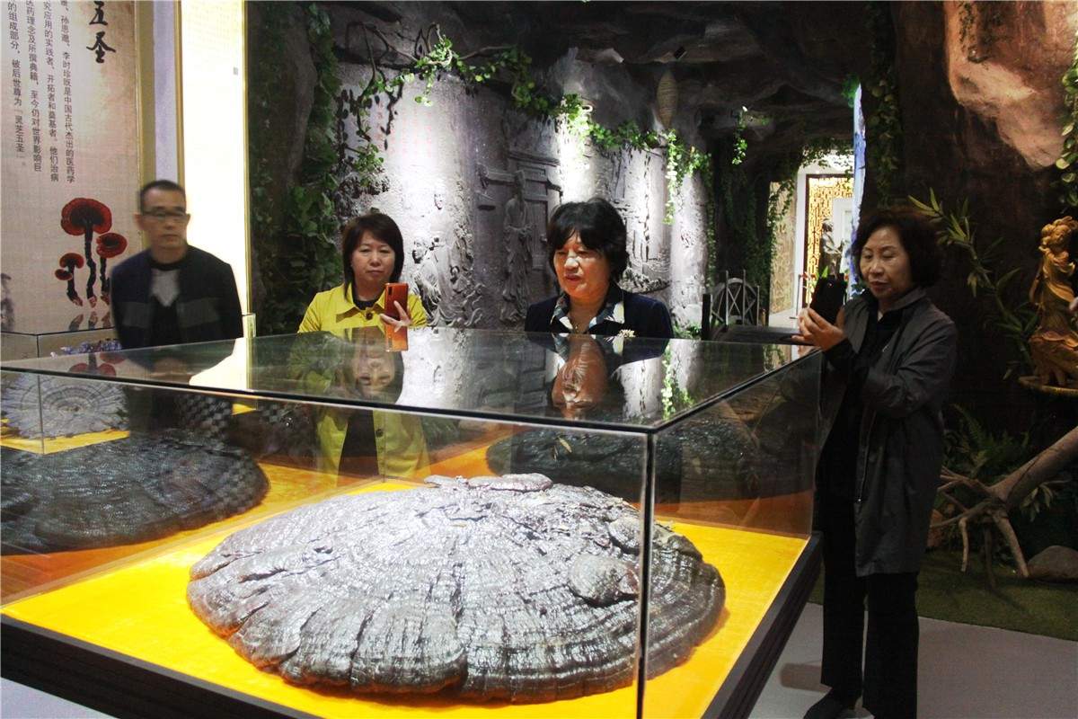 中國(guó)靈芝十大品牌|仙客來(lái)靈芝|仙客來(lái)靈芝破壁孢子粉|仙客來(lái)孢子油|仙客來(lái)靈芝飲片|仙客來(lái)破壁孢子粉|仙客來(lái)靈芝中藥飲片|馳名商標(biāo)|m.aimlin.com| 中國(guó)靈芝十大品牌|仙客來(lái)靈芝|仙客來(lái)靈芝破壁孢子粉|仙客來(lái)孢子油|仙客來(lái)靈芝飲片|仙客來(lái)破壁孢子粉|仙客來(lái)靈芝中藥飲片|馳名商標(biāo)|m.aimlin.com|