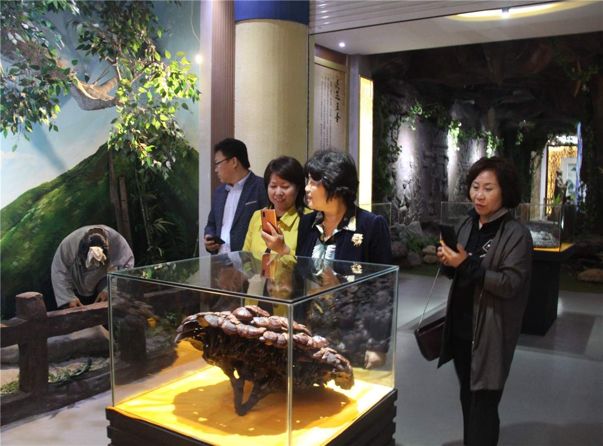 中國(guó)靈芝十大品牌|仙客來(lái)靈芝|仙客來(lái)靈芝破壁孢子粉|仙客來(lái)孢子油|仙客來(lái)靈芝飲片|仙客來(lái)破壁孢子粉|仙客來(lái)靈芝中藥飲片|馳名商標(biāo)|m.aimlin.com| 中國(guó)靈芝十大品牌|仙客來(lái)靈芝|仙客來(lái)靈芝破壁孢子粉|仙客來(lái)孢子油|仙客來(lái)靈芝飲片|仙客來(lái)破壁孢子粉|仙客來(lái)靈芝中藥飲片|馳名商標(biāo)|m.aimlin.com|