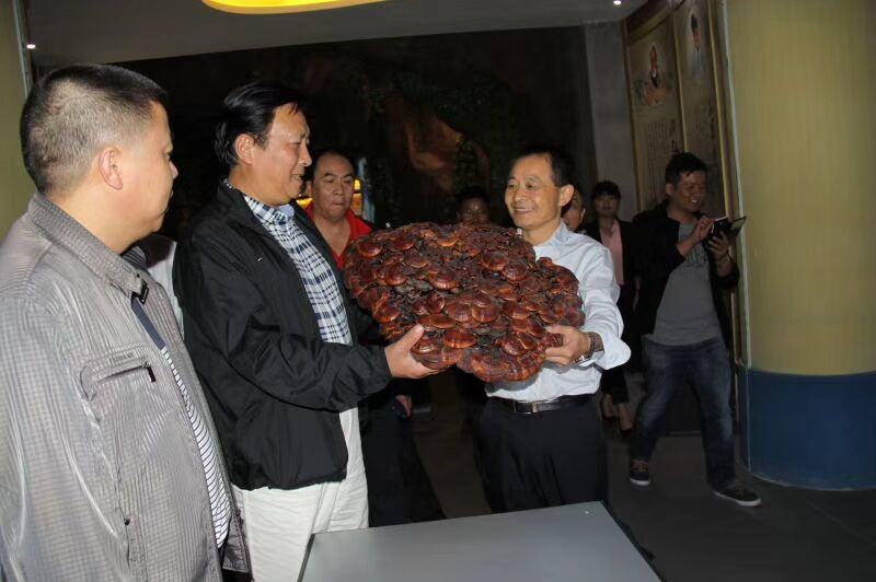 中國靈芝十大品牌|仙客來靈芝|仙客來靈芝破壁孢子粉|仙客來孢子油|仙客來靈芝飲片|仙客來破壁孢子粉|仙客來靈芝中藥飲片|馳名商標|m.aimlin.com| 中國靈芝十大品牌|仙客來靈芝|仙客來靈芝破壁孢子粉|仙客來孢子油|仙客來靈芝飲片|仙客來破壁孢子粉|仙客來靈芝中藥飲片|馳名商標|m.aimlin.com|