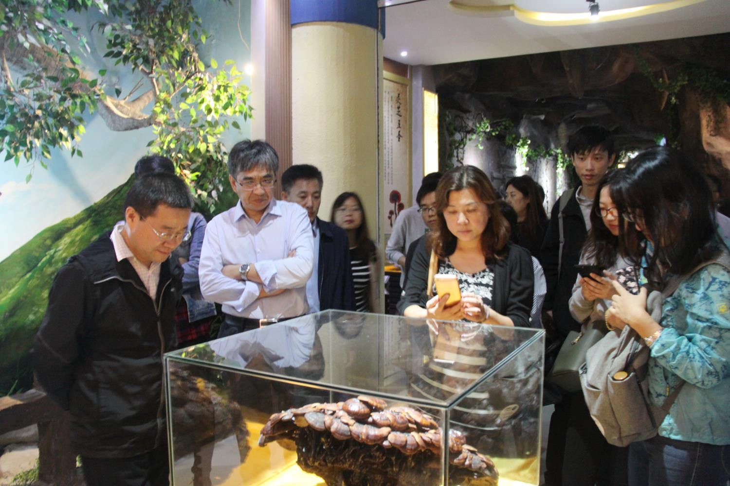 中國(guó)靈芝十大品牌|仙客來(lái)靈芝|仙客來(lái)靈芝破壁孢子粉|仙客來(lái)孢子油|仙客來(lái)靈芝飲片|仙客來(lái)破壁孢子粉|仙客來(lái)靈芝中藥飲片|馳名商標(biāo)|m.aimlin.com|