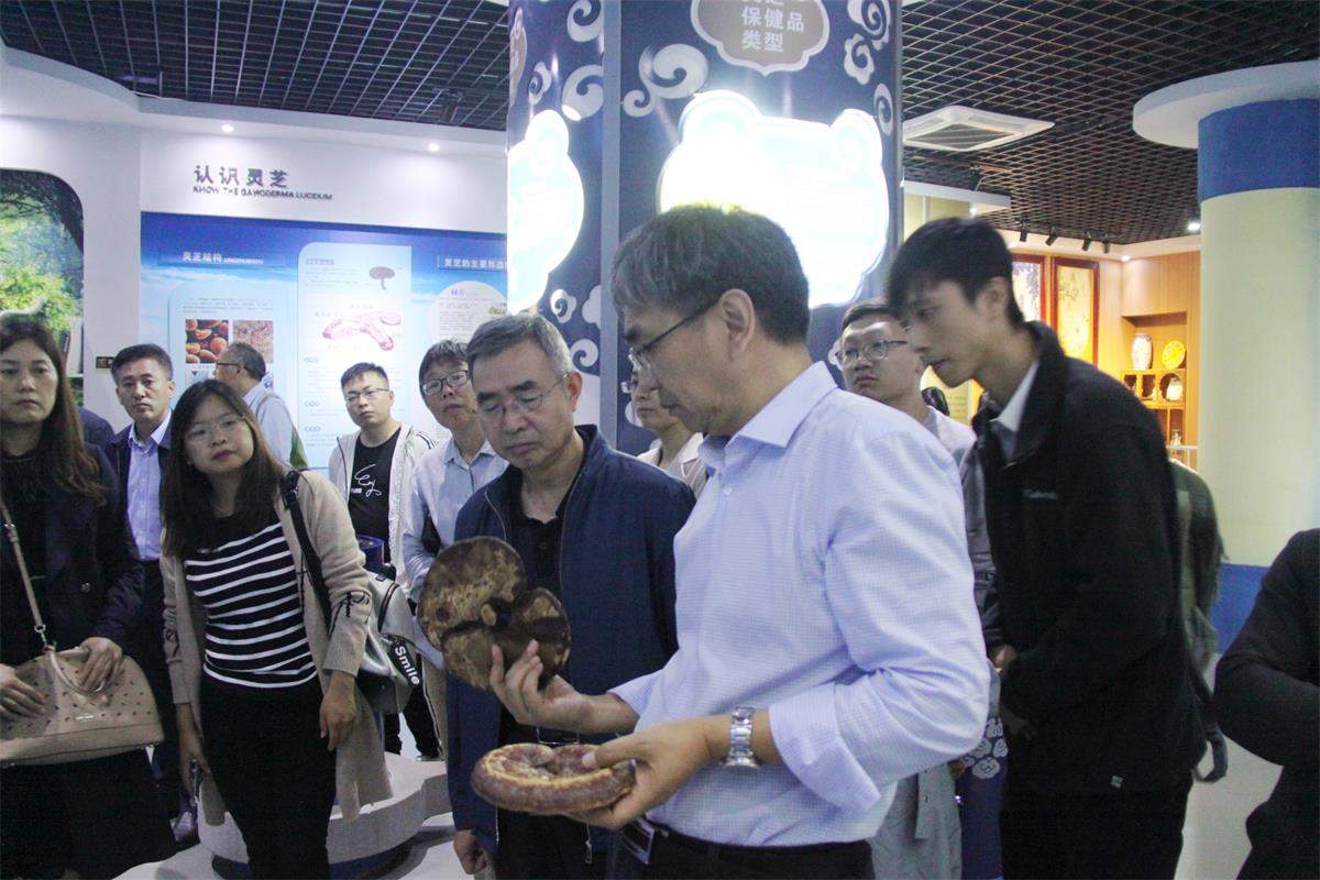 中國(guó)靈芝十大品牌|仙客來(lái)靈芝|仙客來(lái)靈芝破壁孢子粉|仙客來(lái)孢子油|仙客來(lái)靈芝飲片|仙客來(lái)破壁孢子粉|仙客來(lái)靈芝中藥飲片|馳名商標(biāo)|m.aimlin.com|