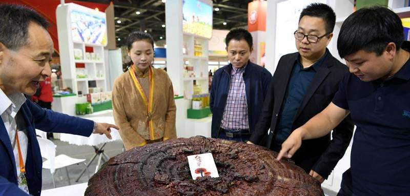 中國靈芝十大品牌|仙客來靈芝|仙客來靈芝破壁孢子粉|仙客來孢子油|仙客來靈芝飲片|仙客來破壁孢子粉|仙客來靈芝中藥飲片|馳名商標(biāo)|m.aimlin.com| 中國靈芝十大品牌|仙客來靈芝|仙客來靈芝破壁孢子粉|仙客來孢子油|仙客來靈芝飲片|仙客來破壁孢子粉|仙客來靈芝中藥飲片|馳名商標(biāo)|m.aimlin.com|