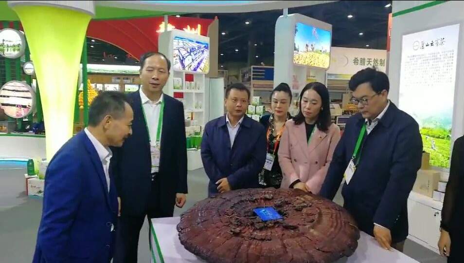 中國靈芝十大品牌|仙客來靈芝|仙客來靈芝破壁孢子粉|仙客來孢子油|仙客來靈芝飲片|仙客來破壁孢子粉|仙客來靈芝中藥飲片|馳名商標(biāo)|m.aimlin.com| 中國靈芝十大品牌|仙客來靈芝|仙客來靈芝破壁孢子粉|仙客來孢子油|仙客來靈芝飲片|仙客來破壁孢子粉|仙客來靈芝中藥飲片|馳名商標(biāo)|m.aimlin.com|