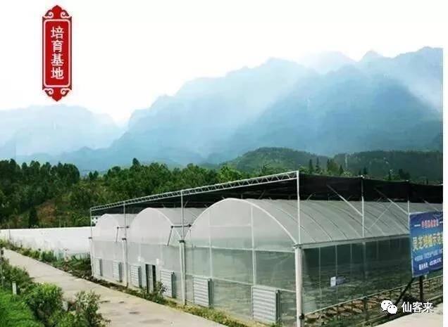 中國(guó)靈芝十大品牌|仙客來(lái)靈芝|仙客來(lái)靈芝破壁孢子粉|仙客來(lái)孢子油|仙客來(lái)靈芝飲片|仙客來(lái)破壁孢子粉|仙客來(lái)靈芝中藥飲片|馳名商標(biāo)|m.aimlin.com| 中國(guó)靈芝十大品牌|仙客來(lái)靈芝|仙客來(lái)靈芝破壁孢子粉|仙客來(lái)孢子油|仙客來(lái)靈芝飲片|仙客來(lái)破壁孢子粉|仙客來(lái)靈芝中藥飲片|馳名商標(biāo)|m.aimlin.com|