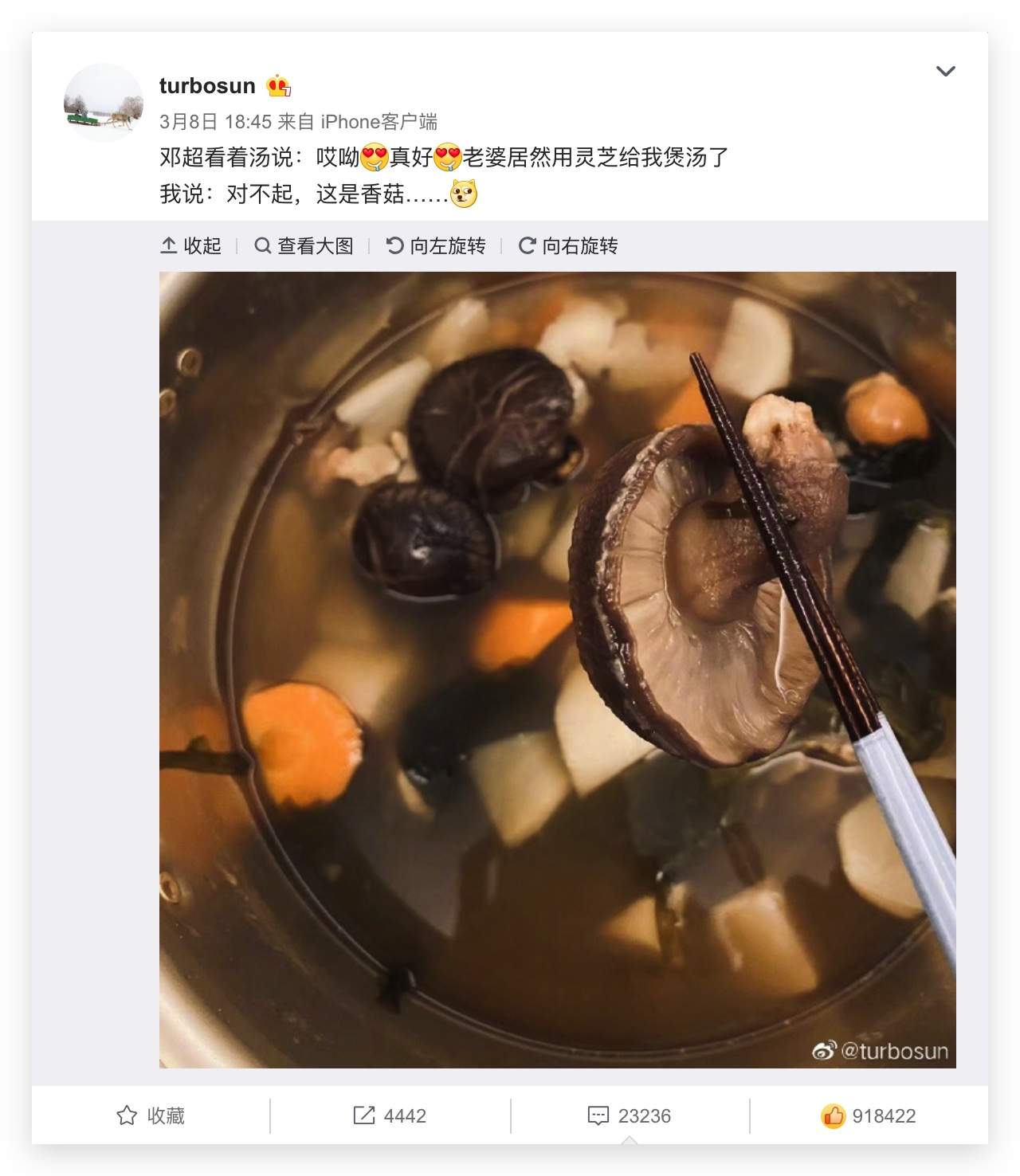 杭州亞運會官方靈芝產(chǎn)品供應商|杭州亞運會官方供應商|中國靈芝十大品牌|仙客來靈芝|仙客來靈芝破壁孢子粉|仙客來孢子油|仙客來靈芝飲片|仙客來破壁孢子粉|靈芝孢子油|孢子粉|靈芝破壁孢子粉|靈芝|中華老字號 杭州亞運會官方靈芝產(chǎn)品供應商|杭州亞運會官方供應商|中國靈芝十大品牌|仙客來靈芝|仙客來靈芝破壁孢子粉|仙客來孢子油|仙客來靈芝飲片|仙客來破壁孢子粉|靈芝孢子油|孢子粉|靈芝破壁孢子粉|靈芝|中華老字號