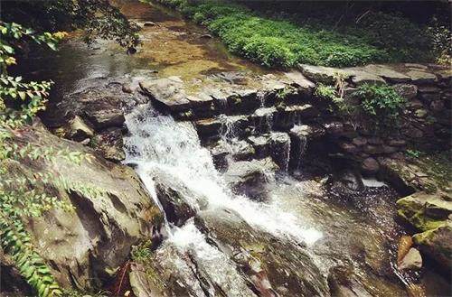 1587783234448118.jpg 2275B233DAA312EAD780009F06E8D46D_看圖王(1).jpg