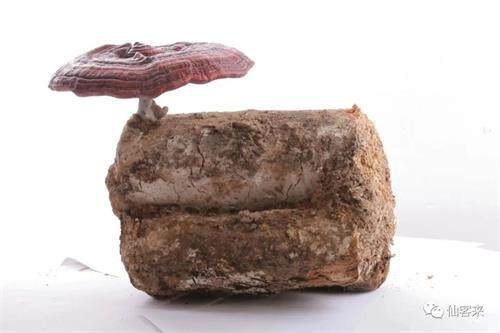 1588233490569030.jpg 3B695474DE971E6A2F31C555E824E6D7.jpg