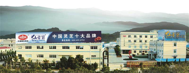 1590459736303396.jpg 仙客來(lái)牌圖.jpg