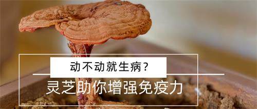 1595582253907768.jpg 默認標題_公眾號封面首圖_2020-06-18-0 (1).jpg