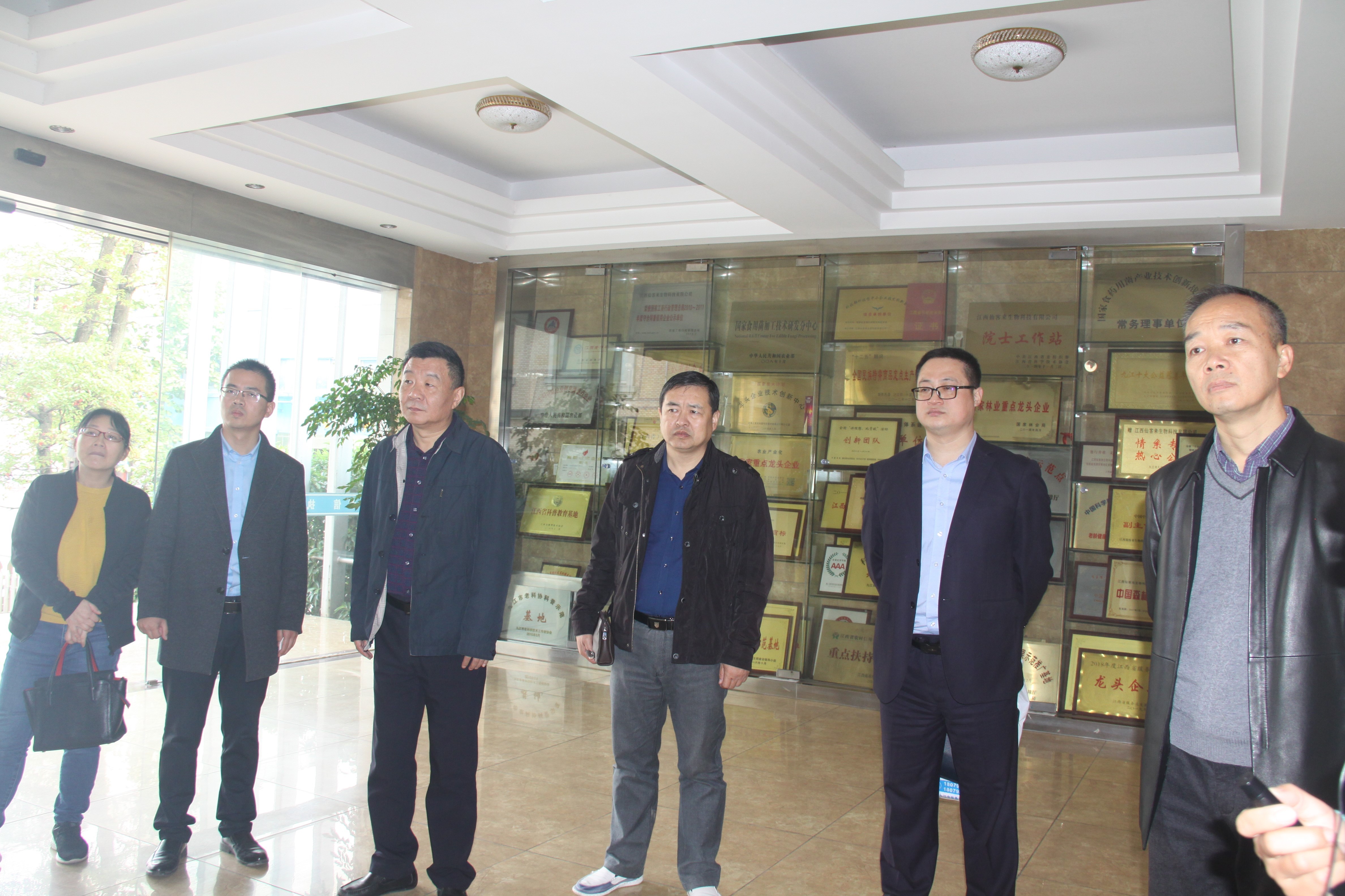 杭州亞運(yùn)會(huì)官方靈芝產(chǎn)品供應(yīng)商|杭州亞運(yùn)會(huì)官方供應(yīng)商|中國(guó)靈芝十大品牌|仙客來靈芝|仙客來靈芝破壁孢子粉|仙客來孢子油|仙客來靈芝飲片|仙客來破壁孢子粉|靈芝孢子油|孢子粉|靈芝破壁孢子粉|靈芝|中華老字號(hào) 杭州亞運(yùn)會(huì)官方靈芝產(chǎn)品供應(yīng)商|杭州亞運(yùn)會(huì)官方供應(yīng)商|中國(guó)靈芝十大品牌|仙客來靈芝|仙客來靈芝破壁孢子粉|仙客來孢子油|仙客來靈芝飲片|仙客來破壁孢子粉|靈芝孢子油|孢子粉|靈芝破壁孢子粉|靈芝|中華老字號(hào)