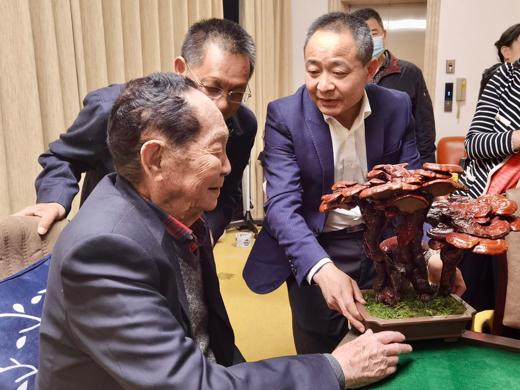 杭州亞運(yùn)會官方靈芝產(chǎn)品供應(yīng)商|杭州亞運(yùn)會官方供應(yīng)商|中國靈芝十大品牌|仙客來靈芝|仙客來靈芝破壁孢子粉|仙客來孢子油|仙客來靈芝飲片|仙客來破壁孢子粉|靈芝孢子油|孢子粉|靈芝破壁孢子粉|靈芝|中華老字號 杭州亞運(yùn)會官方靈芝產(chǎn)品供應(yīng)商|杭州亞運(yùn)會官方供應(yīng)商|中國靈芝十大品牌|仙客來靈芝|仙客來靈芝破壁孢子粉|仙客來孢子油|仙客來靈芝飲片|仙客來破壁孢子粉|靈芝孢子油|孢子粉|靈芝破壁孢子粉|靈芝|中華老字號