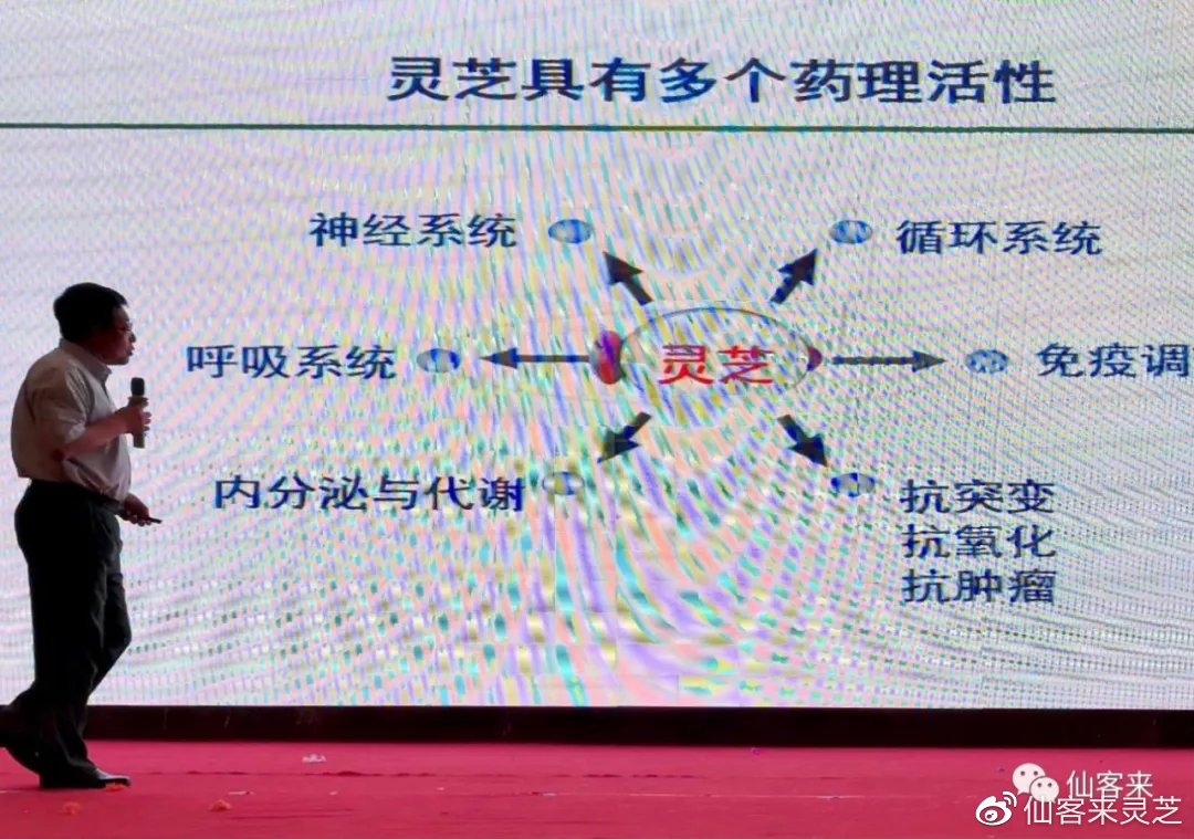 杭州亞運(yùn)會(huì)官方靈芝產(chǎn)品供應(yīng)商|杭州亞運(yùn)會(huì)官方供應(yīng)商|中國(guó)靈芝十大品牌|仙客來(lái)靈芝|仙客來(lái)靈芝破壁孢子粉|仙客來(lái)孢子油|仙客來(lái)靈芝飲片|仙客來(lái)破壁孢子粉|靈芝孢子油|孢子粉|靈芝破壁孢子粉|靈芝|中華老字號(hào) 杭州亞運(yùn)會(huì)官方靈芝產(chǎn)品供應(yīng)商|杭州亞運(yùn)會(huì)官方供應(yīng)商|中國(guó)靈芝十大品牌|仙客來(lái)靈芝|仙客來(lái)靈芝破壁孢子粉|仙客來(lái)孢子油|仙客來(lái)靈芝飲片|仙客來(lái)破壁孢子粉|靈芝孢子油|孢子粉|靈芝破壁孢子粉|靈芝|中華老字號(hào)