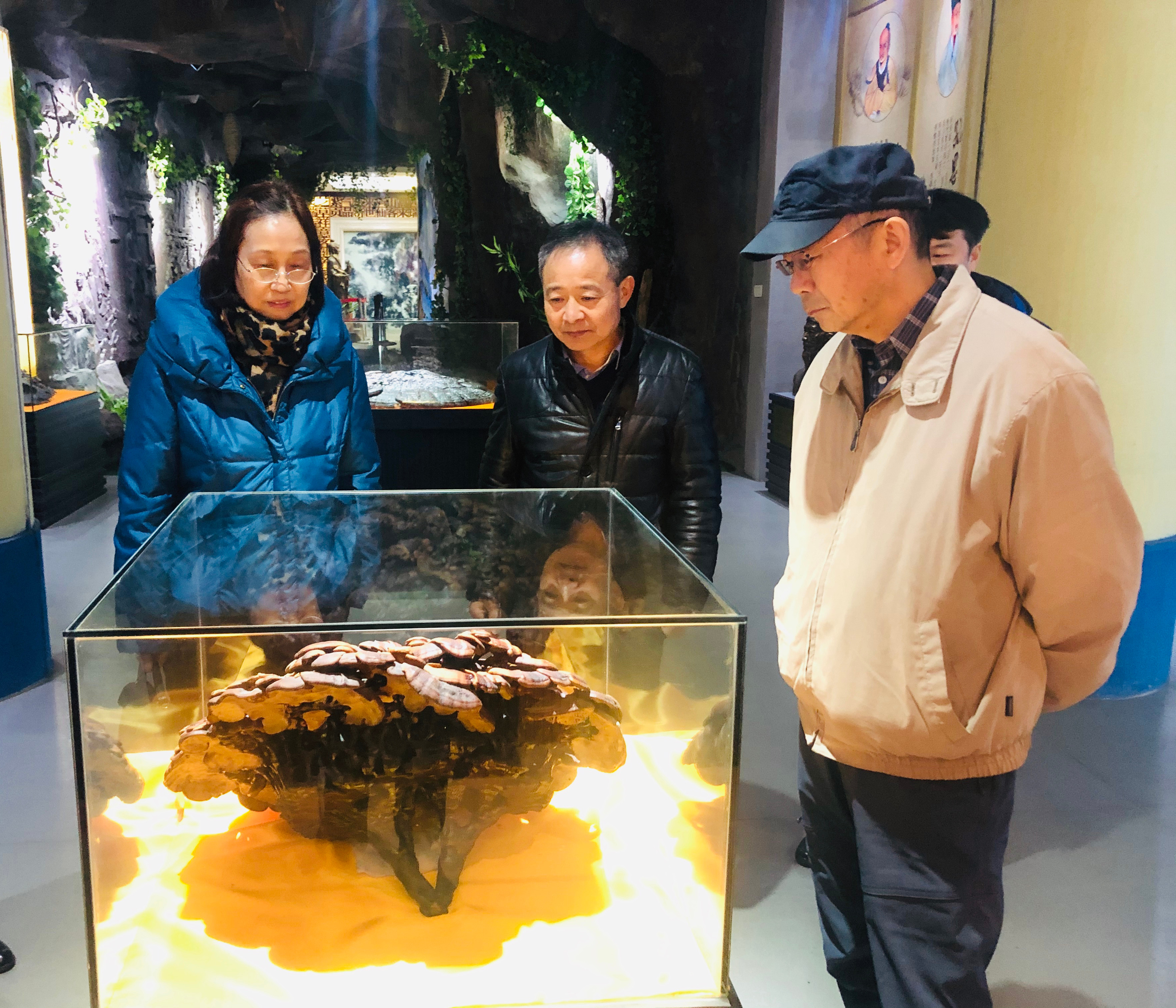 杭州亞運會官方靈芝產(chǎn)品供應商|杭州亞運會官方供應商|中國靈芝十大品牌|仙客來靈芝|仙客來靈芝破壁孢子粉|仙客來孢子油|仙客來靈芝飲片|仙客來破壁孢子粉|靈芝孢子油|孢子粉|靈芝破壁孢子粉|靈芝|中華老字號