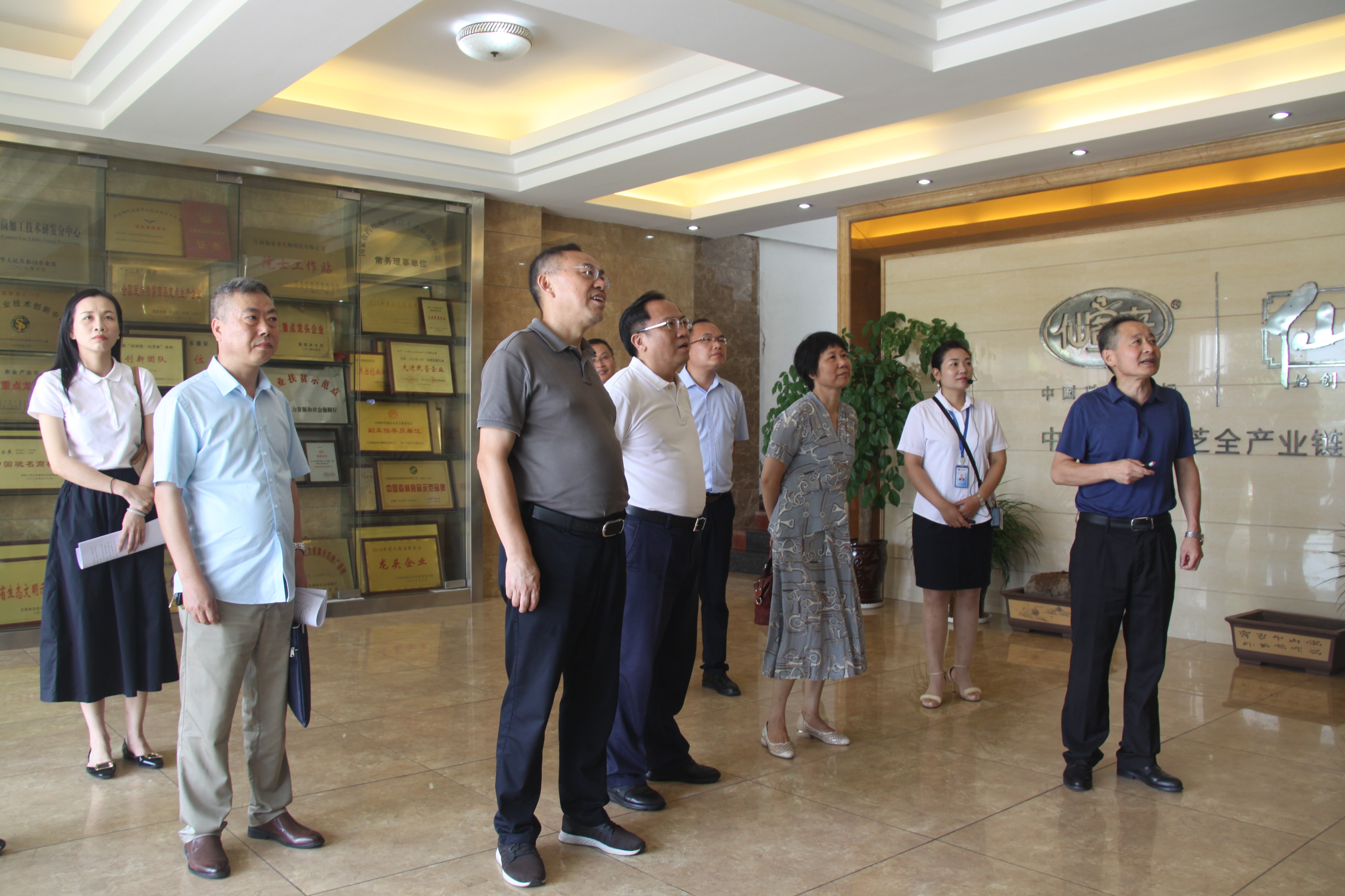 杭州亞運會官方靈芝產(chǎn)品供應(yīng)商|杭州亞運會官方供應(yīng)商|中國靈芝十大品牌|仙客來靈芝|仙客來靈芝破壁孢子粉|仙客來孢子油|仙客來靈芝飲片|仙客來破壁孢子粉|靈芝孢子油|孢子粉|靈芝破壁孢子粉|靈芝|中華老字號 杭州亞運會官方靈芝產(chǎn)品供應(yīng)商|杭州亞運會官方供應(yīng)商|中國靈芝十大品牌|仙客來靈芝|仙客來靈芝破壁孢子粉|仙客來孢子油|仙客來靈芝飲片|仙客來破壁孢子粉|靈芝孢子油|孢子粉|靈芝破壁孢子粉|靈芝|中華老字號