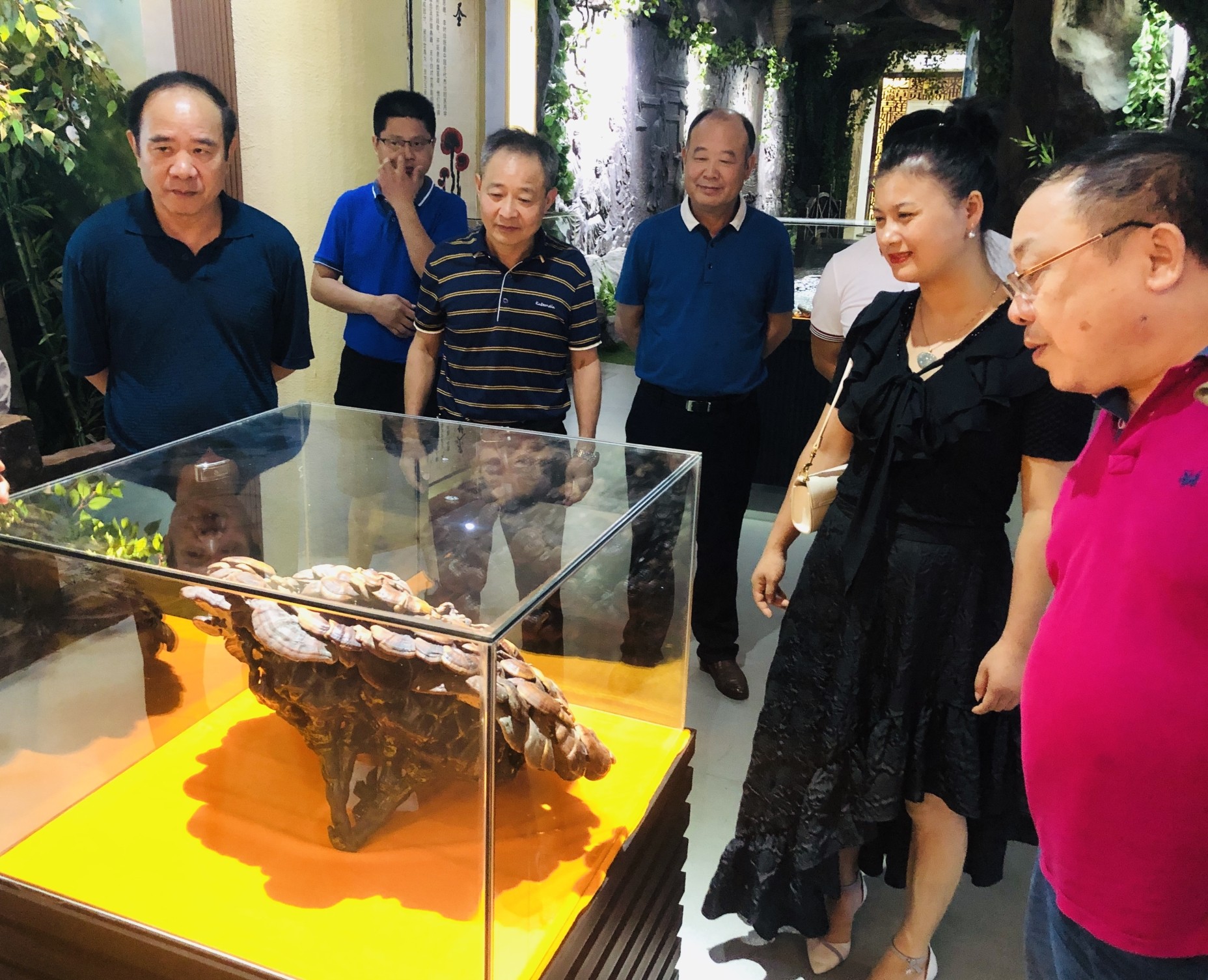 杭州亞運(yùn)會(huì)官方靈芝產(chǎn)品供應(yīng)商|杭州亞運(yùn)會(huì)官方供應(yīng)商|中國靈芝十大品牌|仙客來靈芝|仙客來靈芝破壁孢子粉|仙客來孢子油|仙客來靈芝飲片|仙客來破壁孢子粉|靈芝孢子油|孢子粉|靈芝破壁孢子粉|靈芝|中華老字號(hào) 杭州亞運(yùn)會(huì)官方靈芝產(chǎn)品供應(yīng)商|杭州亞運(yùn)會(huì)官方供應(yīng)商|中國靈芝十大品牌|仙客來靈芝|仙客來靈芝破壁孢子粉|仙客來孢子油|仙客來靈芝飲片|仙客來破壁孢子粉|靈芝孢子油|孢子粉|靈芝破壁孢子粉|靈芝|中華老字號(hào)