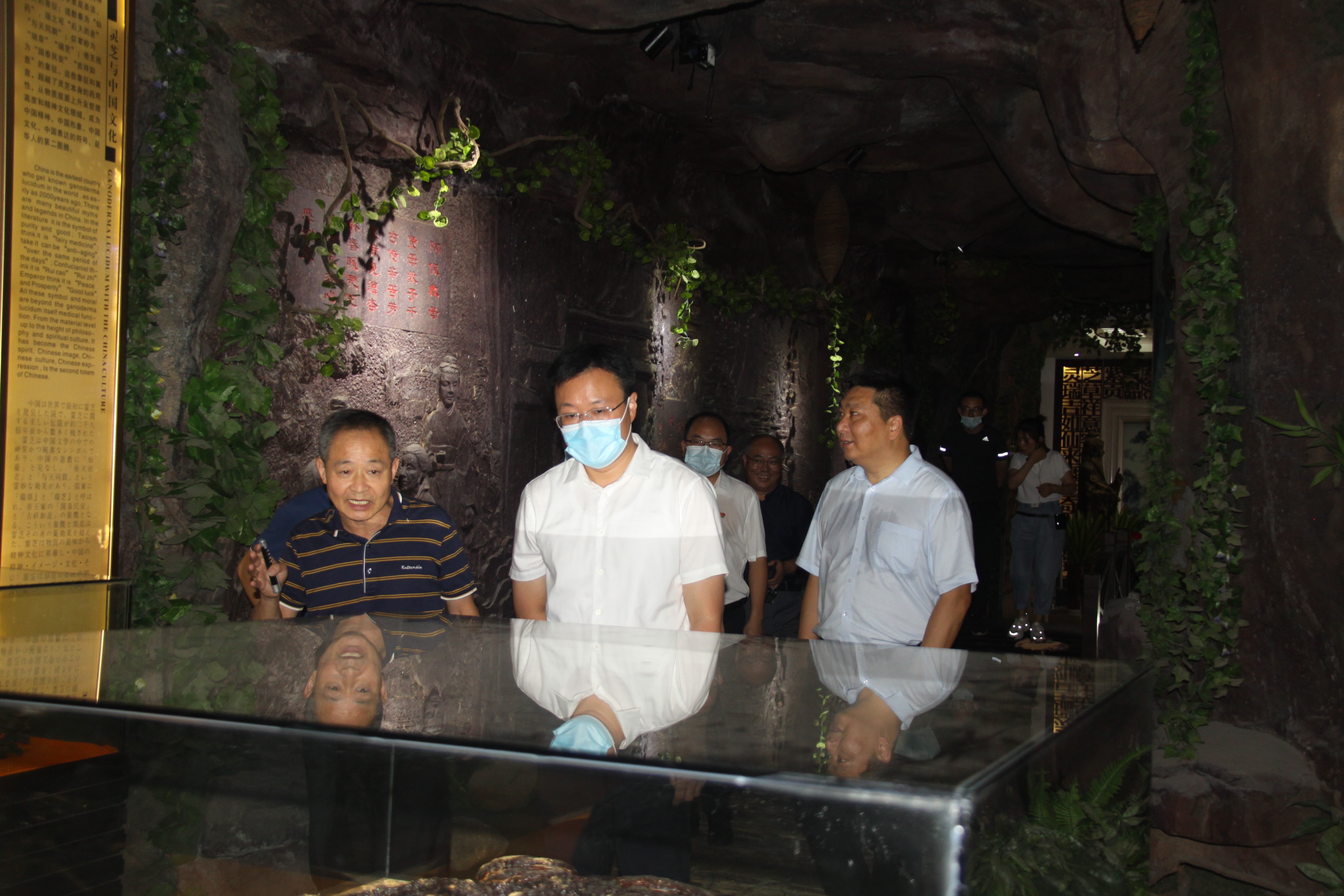 杭州亞運(yùn)會(huì)官方靈芝產(chǎn)品供應(yīng)商|杭州亞運(yùn)會(huì)官方供應(yīng)商|中國(guó)靈芝十大品牌|仙客來靈芝|仙客來靈芝破壁孢子粉|仙客來孢子油|仙客來靈芝飲片|仙客來破壁孢子粉|靈芝孢子油|孢子粉|靈芝破壁孢子粉|靈芝|中華老字號(hào) 杭州亞運(yùn)會(huì)官方靈芝產(chǎn)品供應(yīng)商|杭州亞運(yùn)會(huì)官方供應(yīng)商|中國(guó)靈芝十大品牌|仙客來靈芝|仙客來靈芝破壁孢子粉|仙客來孢子油|仙客來靈芝飲片|仙客來破壁孢子粉|靈芝孢子油|孢子粉|靈芝破壁孢子粉|靈芝|中華老字號(hào)