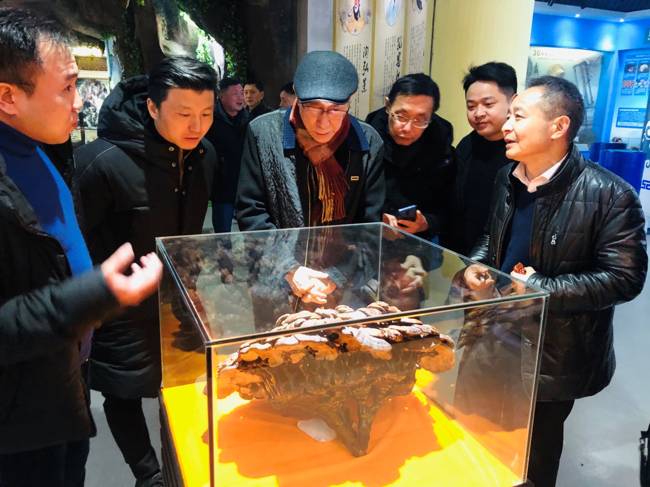 杭州亞運(yùn)會(huì)官方靈芝產(chǎn)品供應(yīng)商|杭州亞運(yùn)會(huì)官方供應(yīng)商|中國(guó)靈芝十大品牌|仙客來(lái)靈芝|仙客來(lái)靈芝破壁孢子粉|仙客來(lái)孢子油|仙客來(lái)靈芝飲片|仙客來(lái)破壁孢子粉|靈芝孢子油|孢子粉|靈芝破壁孢子粉|靈芝|中華老字號(hào) 杭州亞運(yùn)會(huì)官方靈芝產(chǎn)品供應(yīng)商|杭州亞運(yùn)會(huì)官方供應(yīng)商|中國(guó)靈芝十大品牌|仙客來(lái)靈芝|仙客來(lái)靈芝破壁孢子粉|仙客來(lái)孢子油|仙客來(lái)靈芝飲片|仙客來(lái)破壁孢子粉|靈芝孢子油|孢子粉|靈芝破壁孢子粉|靈芝|中華老字號(hào)