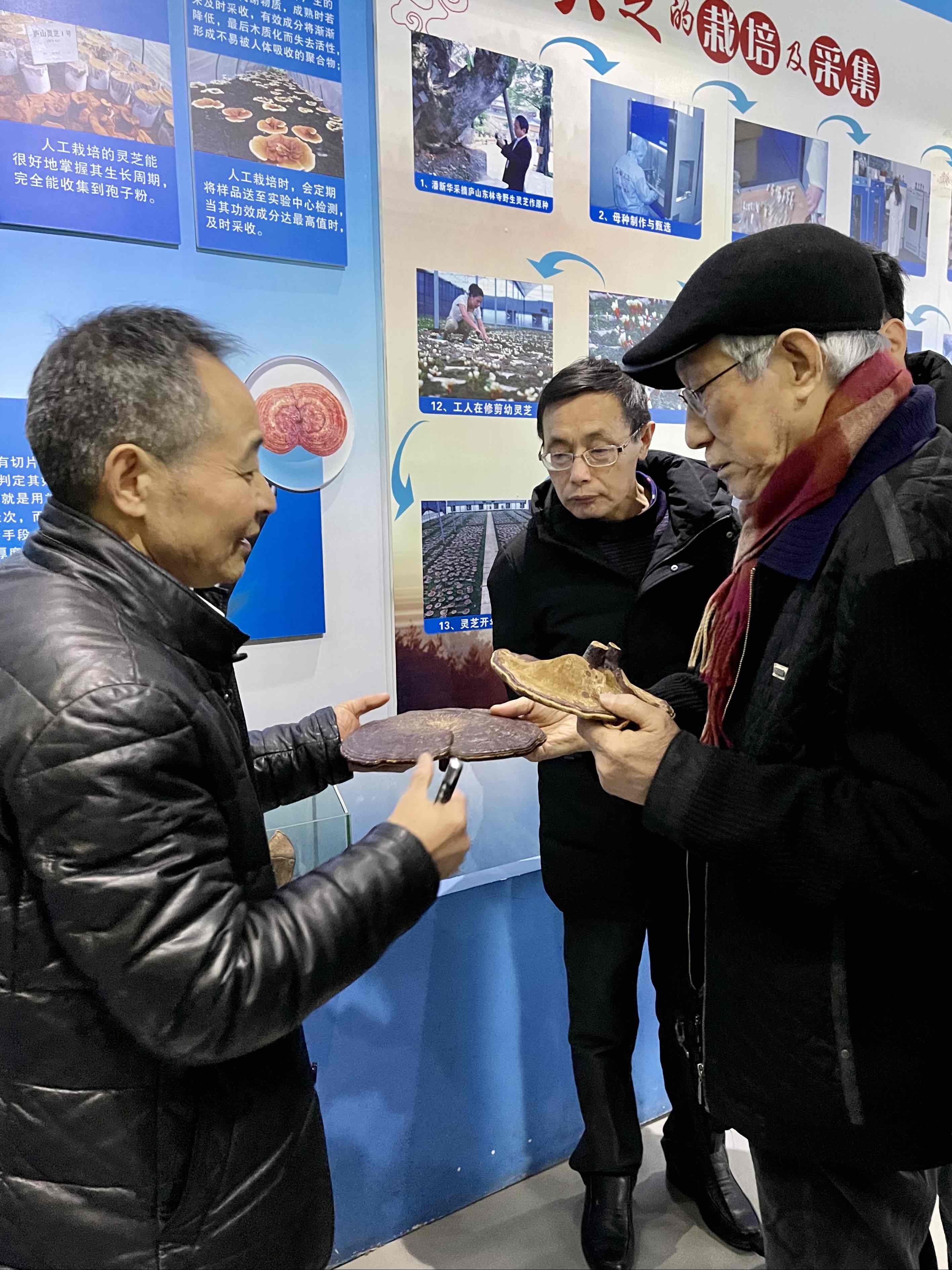 杭州亞運(yùn)會(huì)官方靈芝產(chǎn)品供應(yīng)商|杭州亞運(yùn)會(huì)官方供應(yīng)商|中國(guó)靈芝十大品牌|仙客來(lái)靈芝|仙客來(lái)靈芝破壁孢子粉|仙客來(lái)孢子油|仙客來(lái)靈芝飲片|仙客來(lái)破壁孢子粉|靈芝孢子油|孢子粉|靈芝破壁孢子粉|靈芝|中華老字號(hào) 杭州亞運(yùn)會(huì)官方靈芝產(chǎn)品供應(yīng)商|杭州亞運(yùn)會(huì)官方供應(yīng)商|中國(guó)靈芝十大品牌|仙客來(lái)靈芝|仙客來(lái)靈芝破壁孢子粉|仙客來(lái)孢子油|仙客來(lái)靈芝飲片|仙客來(lái)破壁孢子粉|靈芝孢子油|孢子粉|靈芝破壁孢子粉|靈芝|中華老字號(hào)