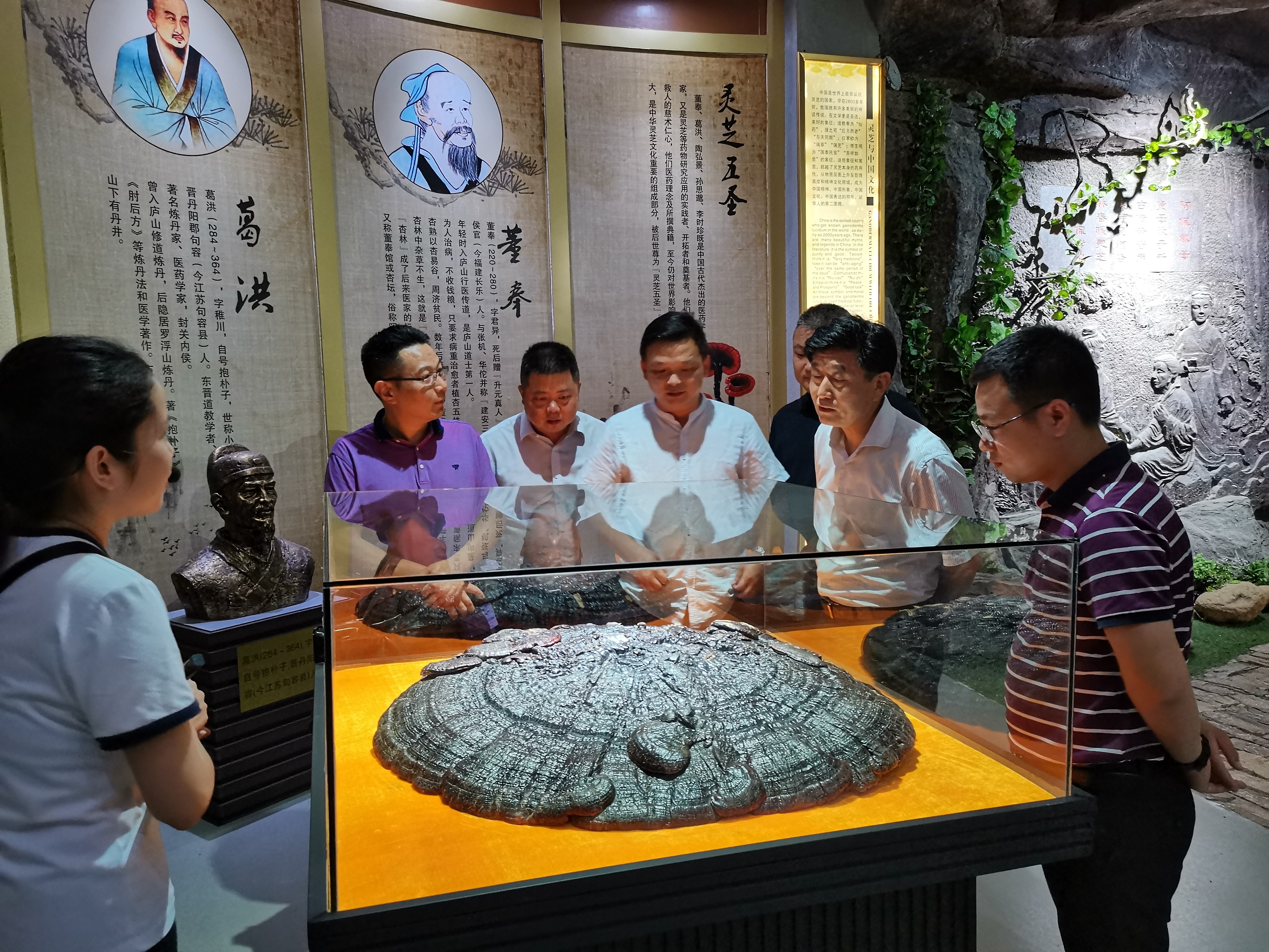 杭州亞運(yùn)會(huì)官方靈芝產(chǎn)品供應(yīng)商|杭州亞運(yùn)會(huì)官方供應(yīng)商|中國(guó)靈芝十大品牌|仙客來靈芝|仙客來靈芝破壁孢子粉|仙客來孢子油|仙客來靈芝飲片|仙客來破壁孢子粉|靈芝孢子油|孢子粉|靈芝破壁孢子粉|靈芝|中華老字號(hào)