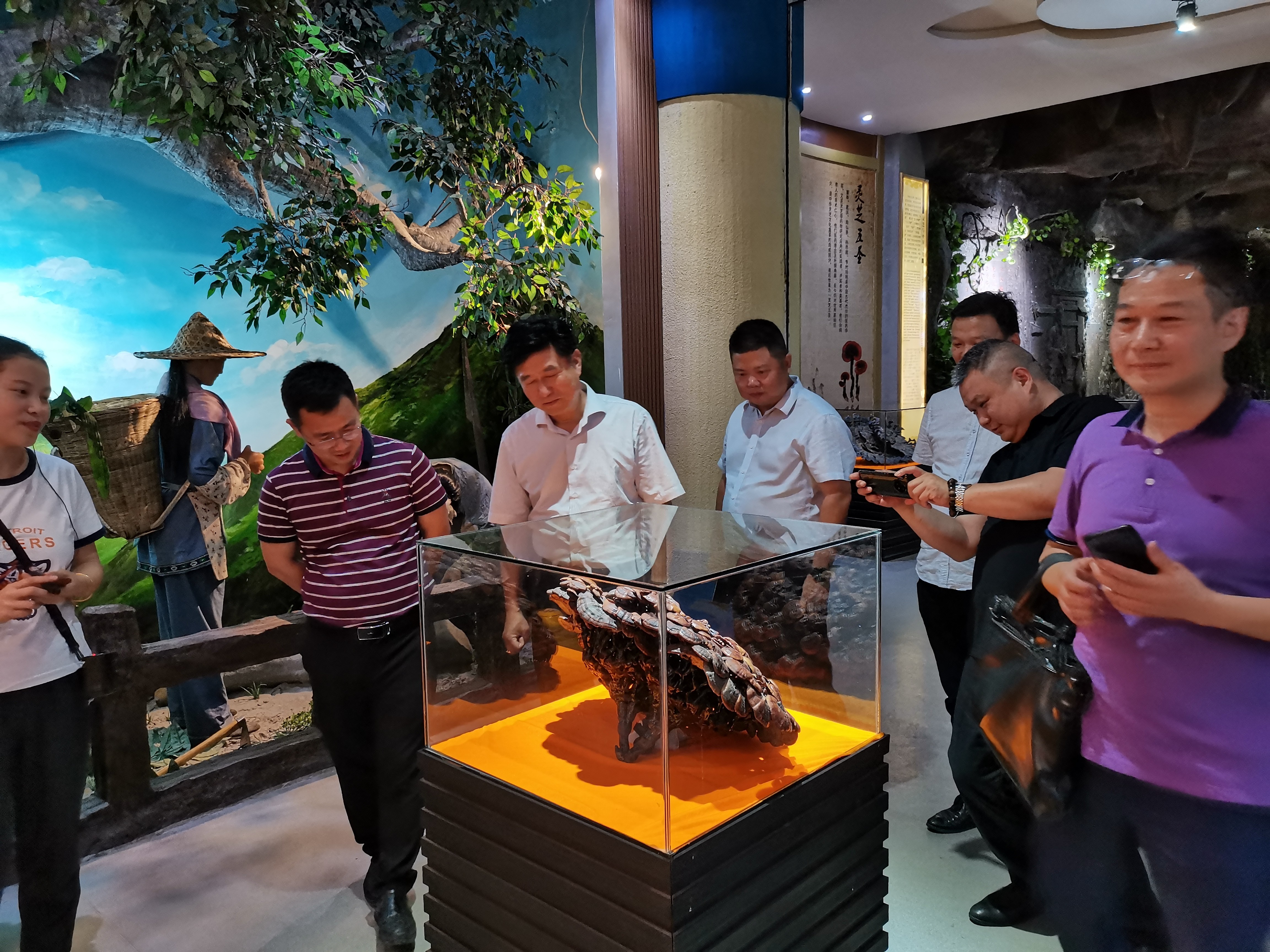 杭州亞運(yùn)會(huì)官方靈芝產(chǎn)品供應(yīng)商|杭州亞運(yùn)會(huì)官方供應(yīng)商|中國(guó)靈芝十大品牌|仙客來靈芝|仙客來靈芝破壁孢子粉|仙客來孢子油|仙客來靈芝飲片|仙客來破壁孢子粉|靈芝孢子油|孢子粉|靈芝破壁孢子粉|靈芝|中華老字號(hào)