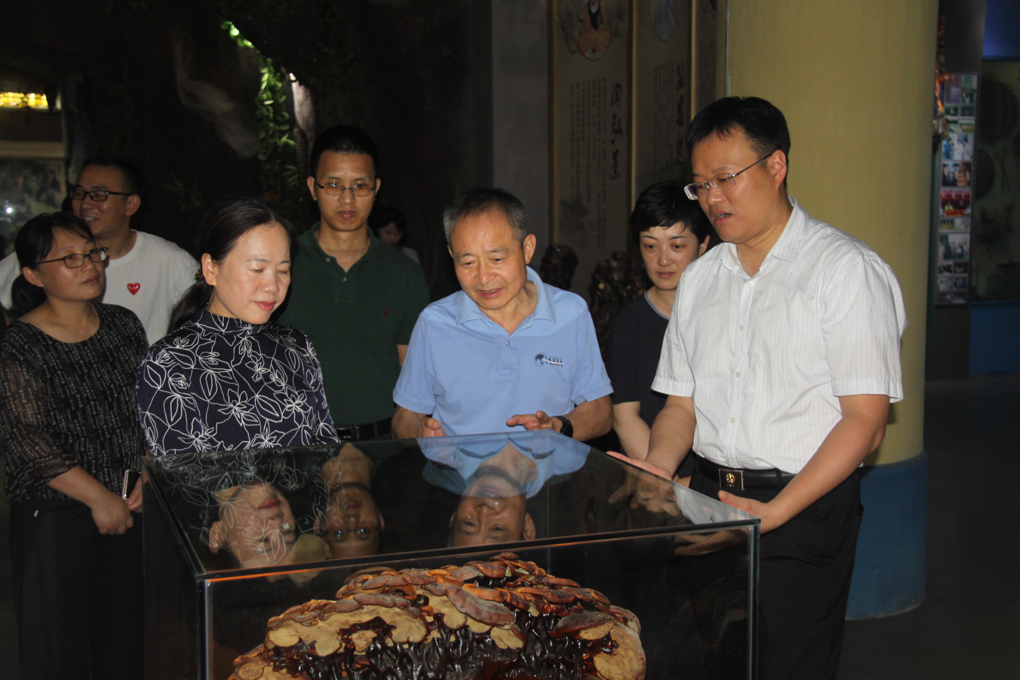 杭州亞運會官方靈芝產(chǎn)品供應商|杭州亞運會官方供應商|中國靈芝十大品牌|仙客來靈芝|仙客來靈芝破壁孢子粉|仙客來孢子油|仙客來靈芝飲片|仙客來破壁孢子粉|靈芝孢子油|孢子粉|靈芝破壁孢子粉|靈芝|中華老字號 杭州亞運會官方靈芝產(chǎn)品供應商|杭州亞運會官方供應商|中國靈芝十大品牌|仙客來靈芝|仙客來靈芝破壁孢子粉|仙客來孢子油|仙客來靈芝飲片|仙客來破壁孢子粉|靈芝孢子油|孢子粉|靈芝破壁孢子粉|靈芝|中華老字號