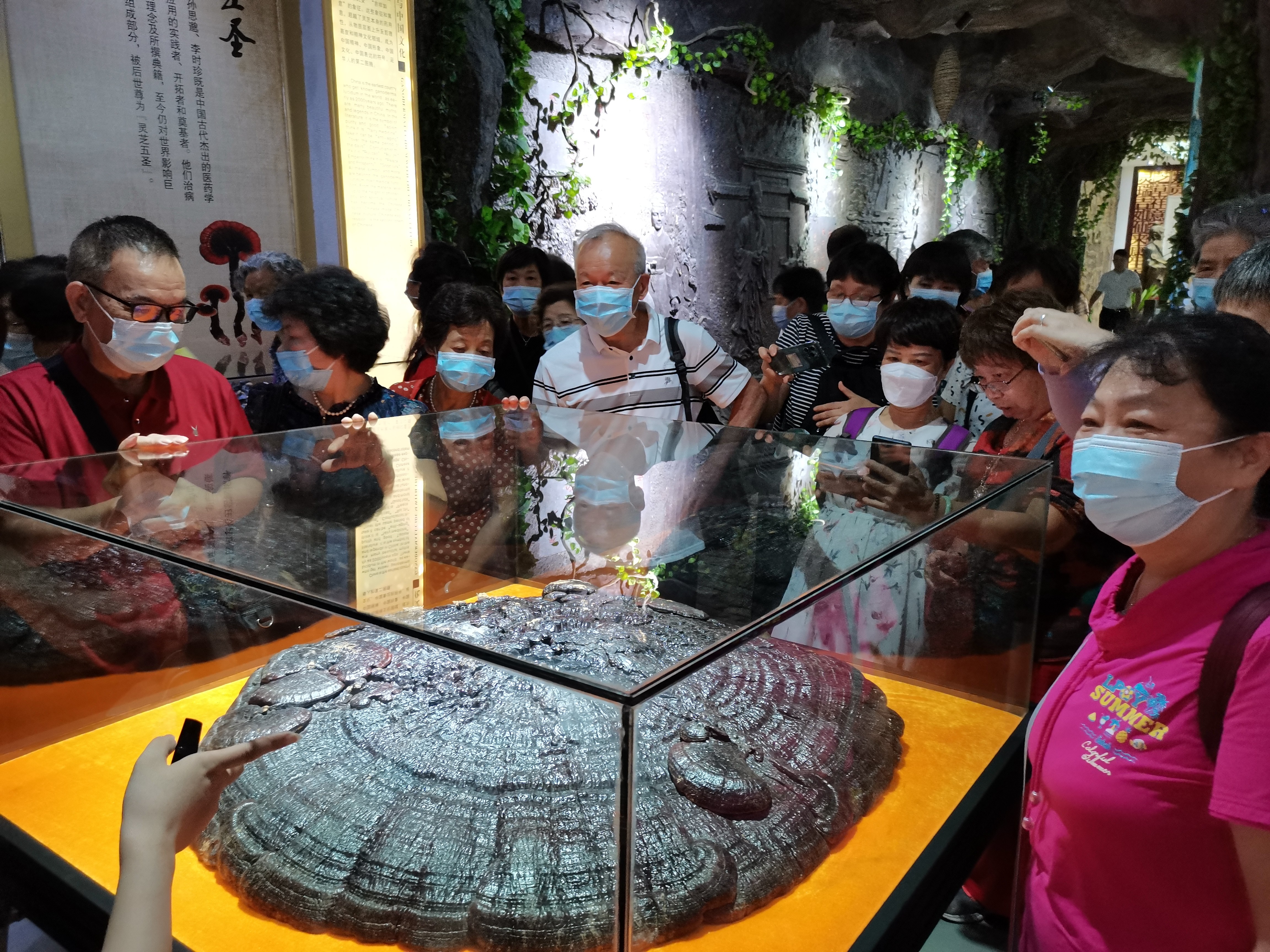 杭州亞運(yùn)會(huì)官方靈芝產(chǎn)品供應(yīng)商|杭州亞運(yùn)會(huì)官方供應(yīng)商|中國(guó)靈芝十大品牌|仙客來(lái)靈芝|仙客來(lái)靈芝破壁孢子粉|仙客來(lái)孢子油|仙客來(lái)靈芝飲片|仙客來(lái)破壁孢子粉|靈芝孢子油|孢子粉|靈芝破壁孢子粉|靈芝|中華老字號(hào) 杭州亞運(yùn)會(huì)官方靈芝產(chǎn)品供應(yīng)商|杭州亞運(yùn)會(huì)官方供應(yīng)商|中國(guó)靈芝十大品牌|仙客來(lái)靈芝|仙客來(lái)靈芝破壁孢子粉|仙客來(lái)孢子油|仙客來(lái)靈芝飲片|仙客來(lái)破壁孢子粉|靈芝孢子油|孢子粉|靈芝破壁孢子粉|靈芝|中華老字號(hào)