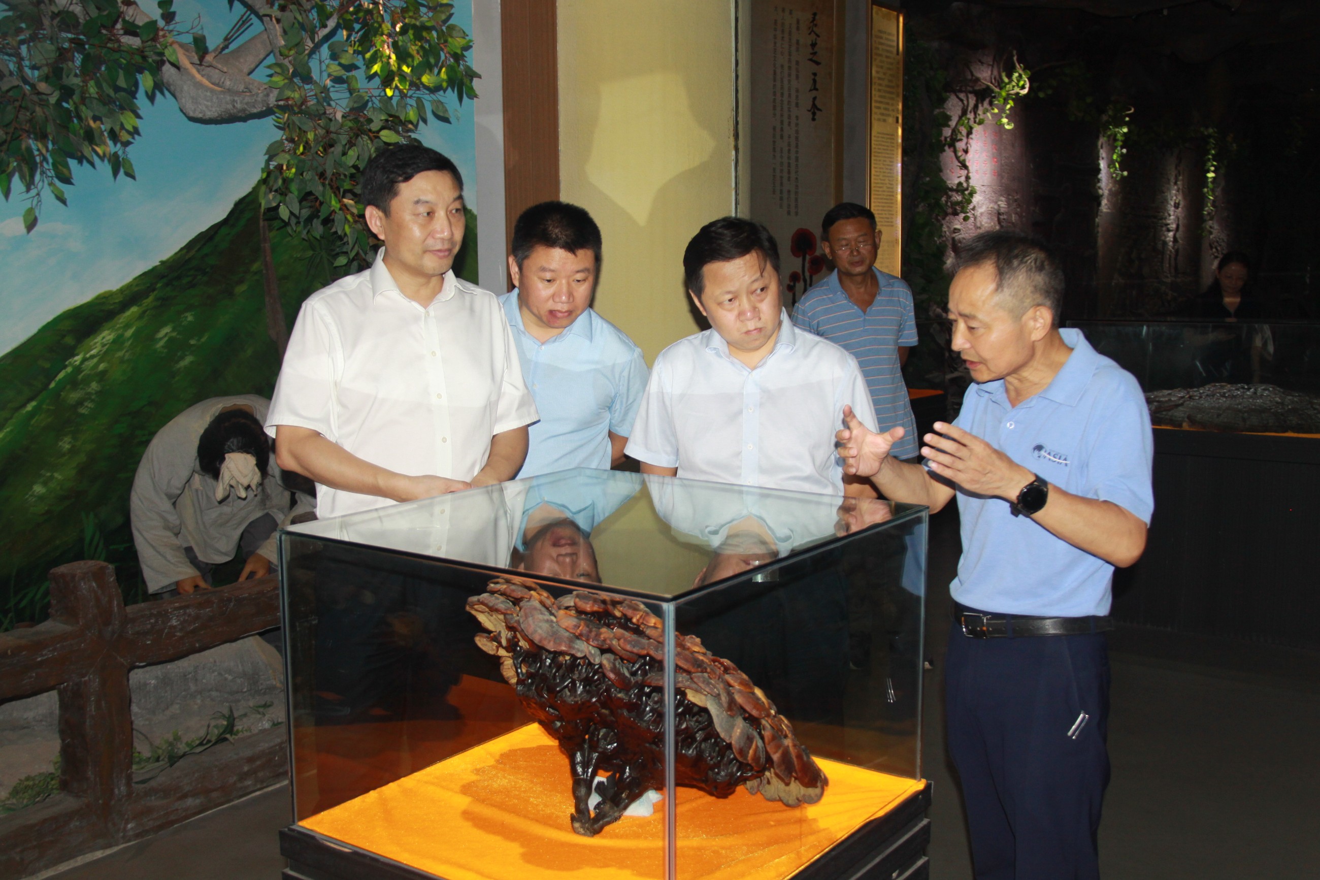 杭州亞運會官方靈芝產品供應商|杭州亞運會官方供應商|中國靈芝十大品牌|仙客來靈芝|仙客來靈芝破壁孢子粉|仙客來孢子油|仙客來靈芝飲片|仙客來破壁孢子粉|靈芝孢子油|孢子粉|靈芝破壁孢子粉|靈芝|中華老字號 杭州亞運會官方靈芝產品供應商|杭州亞運會官方供應商|中國靈芝十大品牌|仙客來靈芝|仙客來靈芝破壁孢子粉|仙客來孢子油|仙客來靈芝飲片|仙客來破壁孢子粉|靈芝孢子油|孢子粉|靈芝破壁孢子粉|靈芝|中華老字號