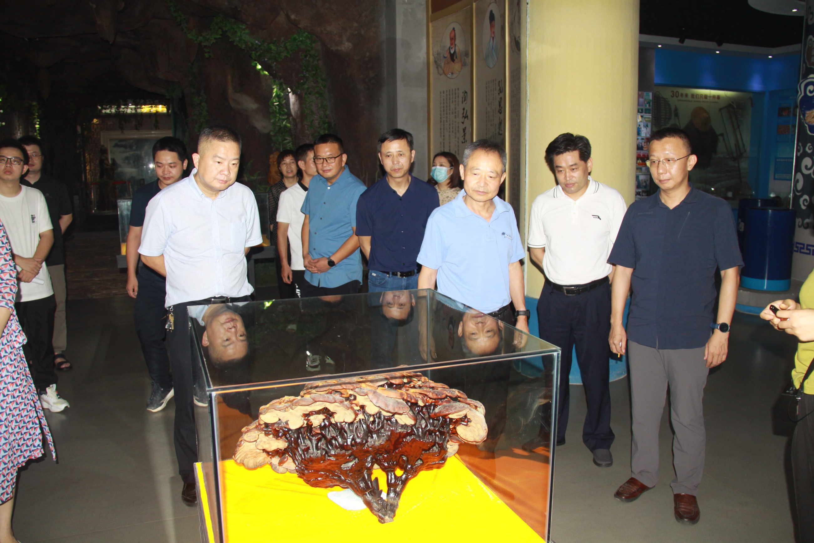 杭州亞運(yùn)會(huì)官方靈芝產(chǎn)品供應(yīng)商|杭州亞運(yùn)會(huì)官方供應(yīng)商|中國靈芝十大品牌|仙客來靈芝|仙客來靈芝破壁孢子粉|仙客來孢子油|仙客來靈芝飲片|仙客來破壁孢子粉|靈芝孢子油|孢子粉|靈芝破壁孢子粉|靈芝|中華老字號 杭州亞運(yùn)會(huì)官方靈芝產(chǎn)品供應(yīng)商|杭州亞運(yùn)會(huì)官方供應(yīng)商|中國靈芝十大品牌|仙客來靈芝|仙客來靈芝破壁孢子粉|仙客來孢子油|仙客來靈芝飲片|仙客來破壁孢子粉|靈芝孢子油|孢子粉|靈芝破壁孢子粉|靈芝|中華老字號