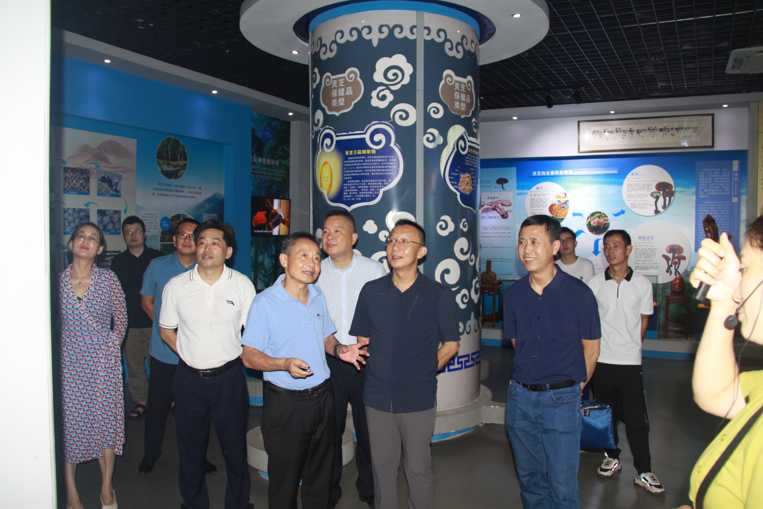 杭州亞運(yùn)會(huì)官方靈芝產(chǎn)品供應(yīng)商|杭州亞運(yùn)會(huì)官方供應(yīng)商|中國靈芝十大品牌|仙客來靈芝|仙客來靈芝破壁孢子粉|仙客來孢子油|仙客來靈芝飲片|仙客來破壁孢子粉|靈芝孢子油|孢子粉|靈芝破壁孢子粉|靈芝|中華老字號 杭州亞運(yùn)會(huì)官方靈芝產(chǎn)品供應(yīng)商|杭州亞運(yùn)會(huì)官方供應(yīng)商|中國靈芝十大品牌|仙客來靈芝|仙客來靈芝破壁孢子粉|仙客來孢子油|仙客來靈芝飲片|仙客來破壁孢子粉|靈芝孢子油|孢子粉|靈芝破壁孢子粉|靈芝|中華老字號