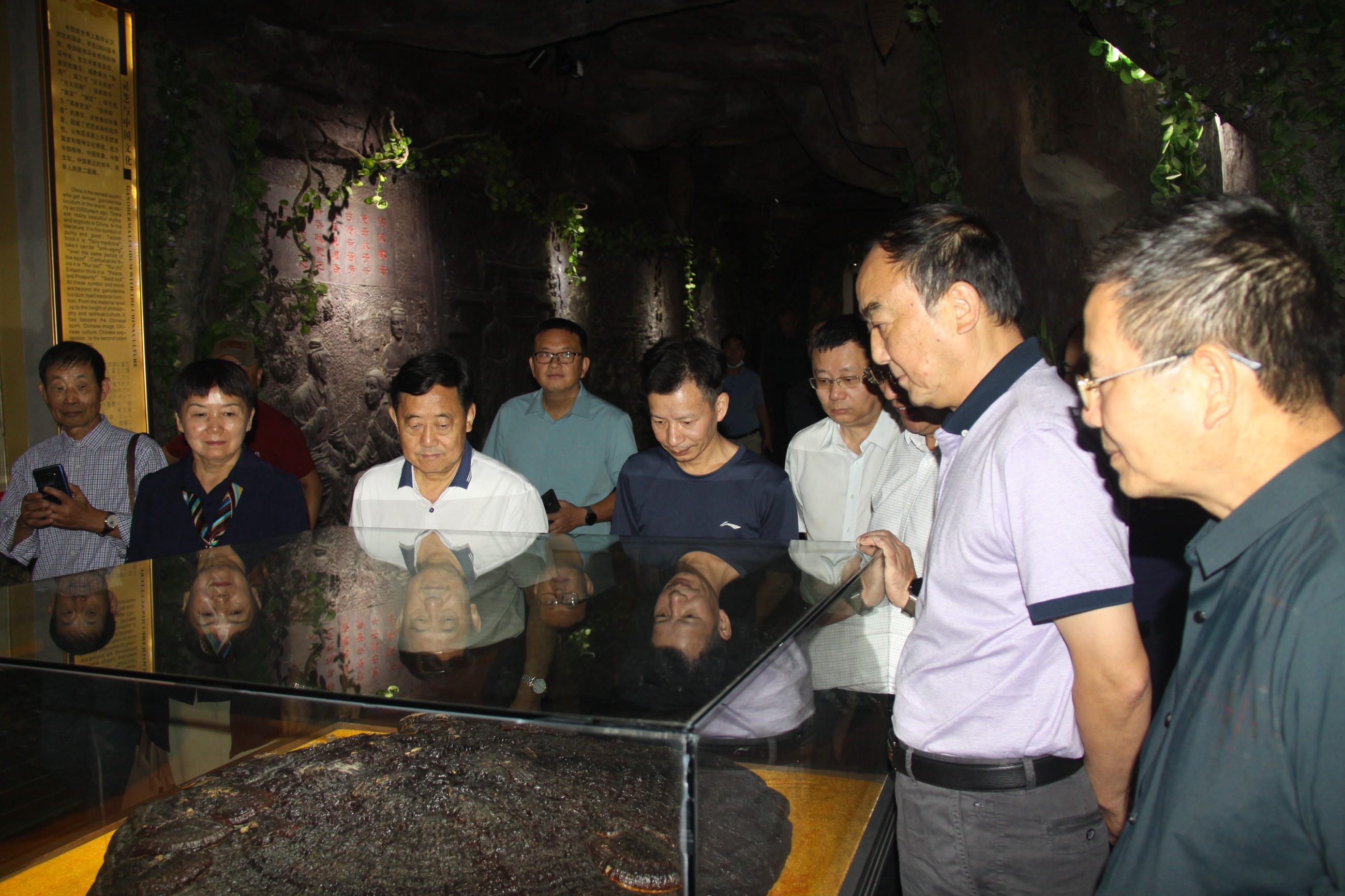 杭州亞運會官方靈芝產(chǎn)品供應商|杭州亞運會官方供應商|中國靈芝十大品牌|仙客來靈芝|仙客來靈芝破壁孢子粉|仙客來孢子油|仙客來靈芝飲片|仙客來破壁孢子粉|靈芝孢子油|孢子粉|靈芝破壁孢子粉|靈芝|中華老字號 杭州亞運會官方靈芝產(chǎn)品供應商|杭州亞運會官方供應商|中國靈芝十大品牌|仙客來靈芝|仙客來靈芝破壁孢子粉|仙客來孢子油|仙客來靈芝飲片|仙客來破壁孢子粉|靈芝孢子油|孢子粉|靈芝破壁孢子粉|靈芝|中華老字號