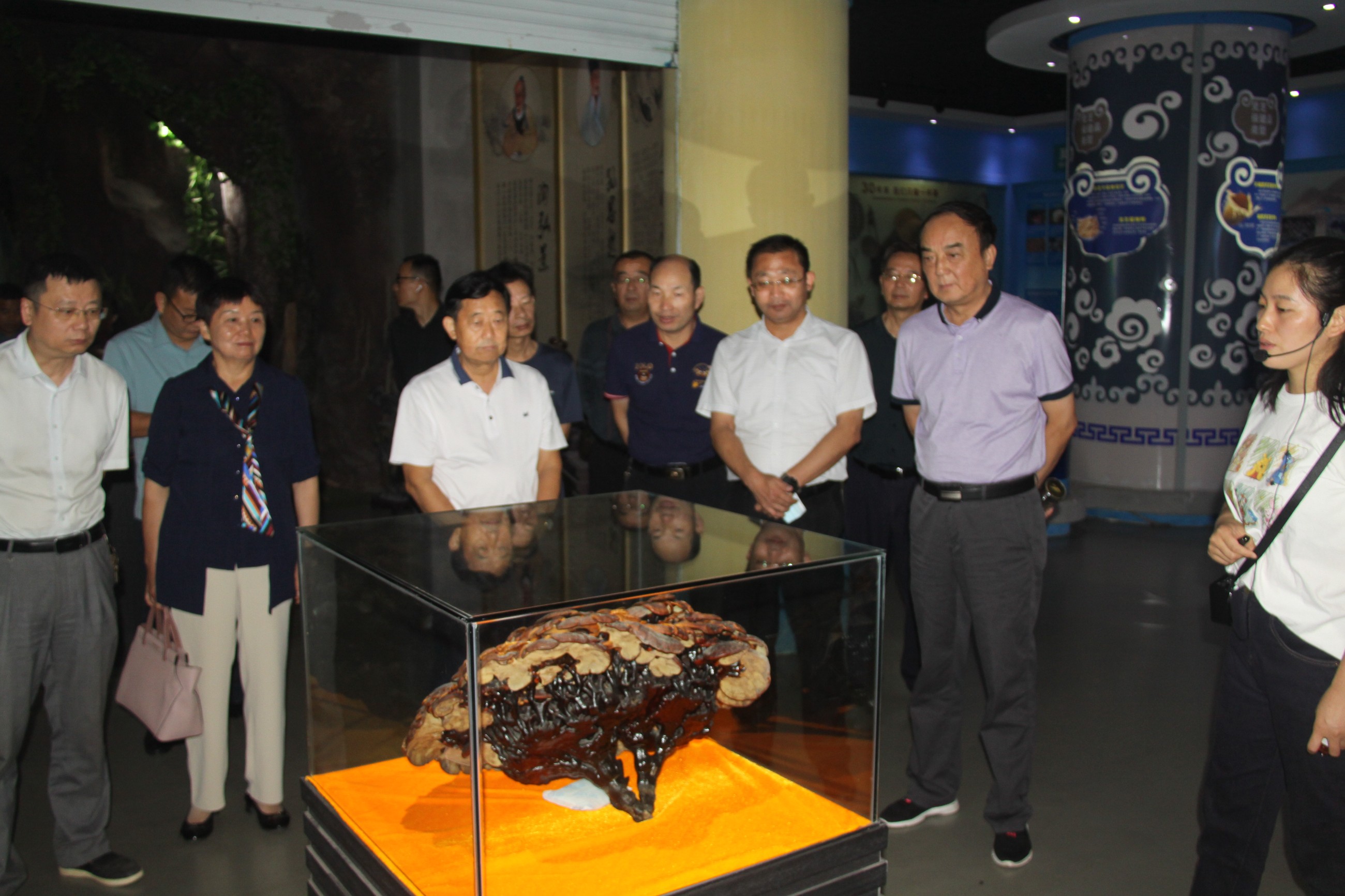 杭州亞運會官方靈芝產(chǎn)品供應商|杭州亞運會官方供應商|中國靈芝十大品牌|仙客來靈芝|仙客來靈芝破壁孢子粉|仙客來孢子油|仙客來靈芝飲片|仙客來破壁孢子粉|靈芝孢子油|孢子粉|靈芝破壁孢子粉|靈芝|中華老字號 杭州亞運會官方靈芝產(chǎn)品供應商|杭州亞運會官方供應商|中國靈芝十大品牌|仙客來靈芝|仙客來靈芝破壁孢子粉|仙客來孢子油|仙客來靈芝飲片|仙客來破壁孢子粉|靈芝孢子油|孢子粉|靈芝破壁孢子粉|靈芝|中華老字號