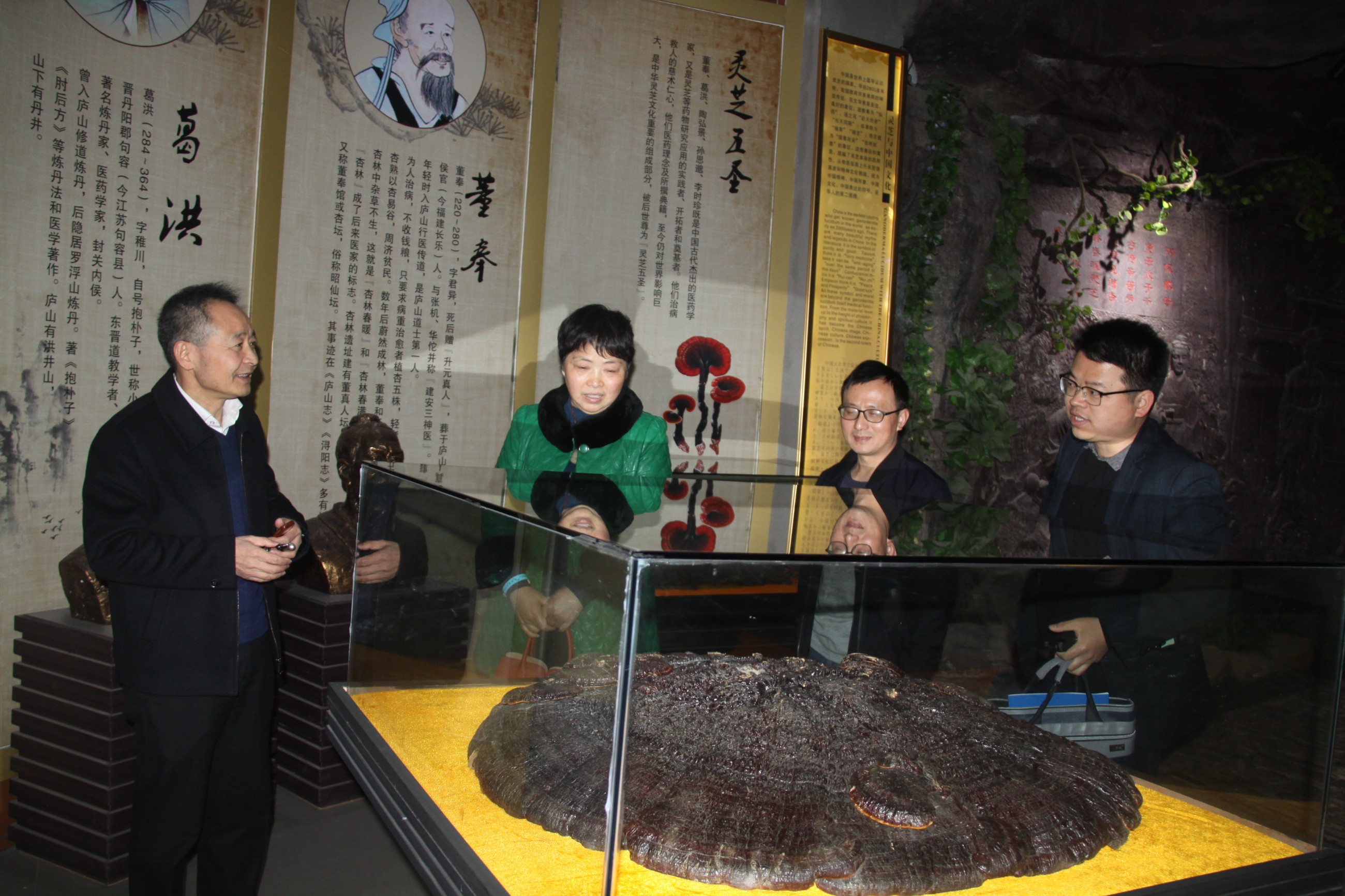 杭州亞運會官方靈芝產品供應商|杭州亞運會官方供應商|中國靈芝十大品牌|仙客來靈芝|仙客來靈芝破壁孢子粉|仙客來孢子油|仙客來靈芝飲片|仙客來破壁孢子粉|靈芝孢子油|孢子粉|靈芝破壁孢子粉|靈芝|中華老字號 杭州亞運會官方靈芝產品供應商|杭州亞運會官方供應商|中國靈芝十大品牌|仙客來靈芝|仙客來靈芝破壁孢子粉|仙客來孢子油|仙客來靈芝飲片|仙客來破壁孢子粉|靈芝孢子油|孢子粉|靈芝破壁孢子粉|靈芝|中華老字號