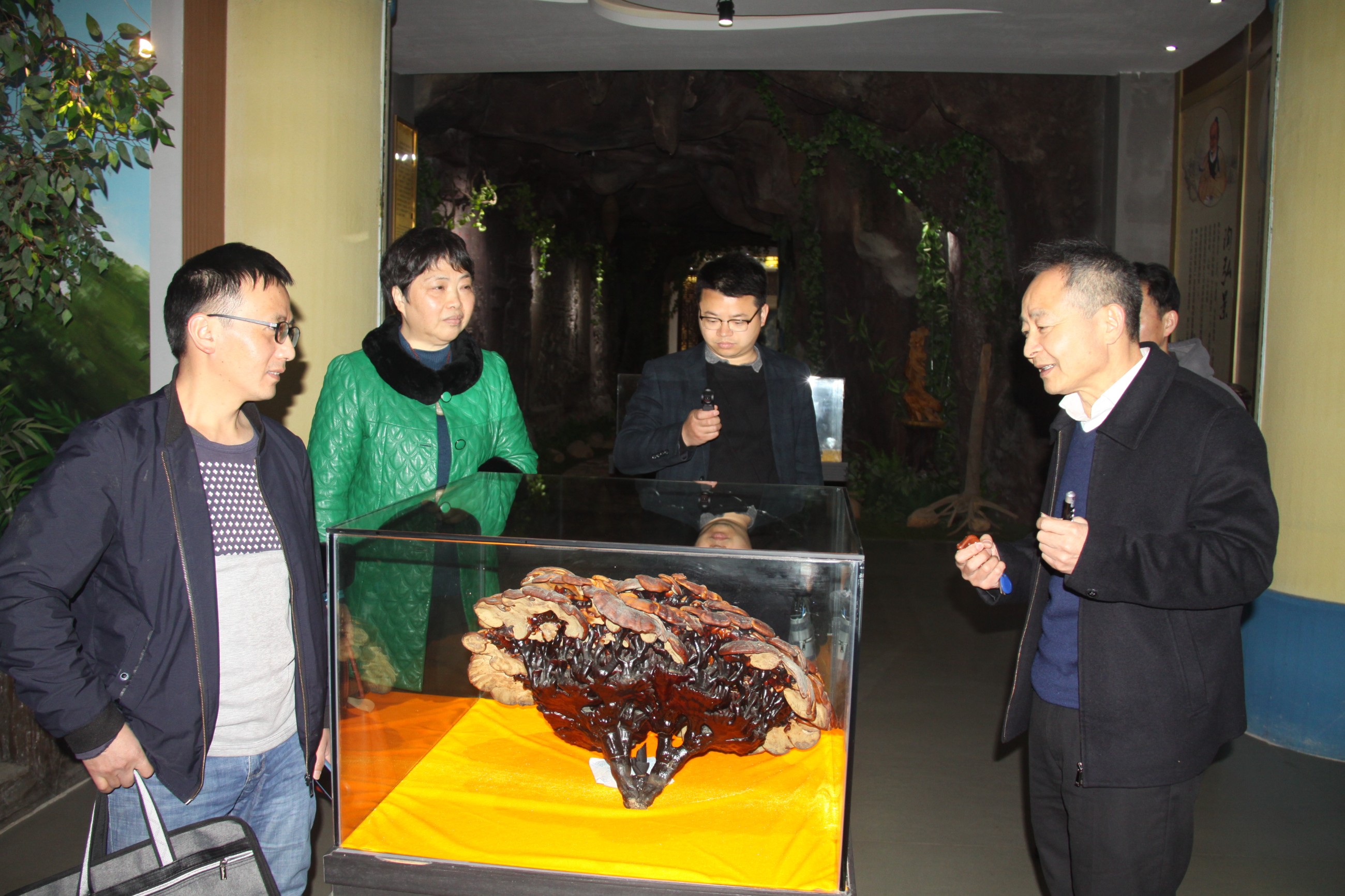 杭州亞運會官方靈芝產品供應商|杭州亞運會官方供應商|中國靈芝十大品牌|仙客來靈芝|仙客來靈芝破壁孢子粉|仙客來孢子油|仙客來靈芝飲片|仙客來破壁孢子粉|靈芝孢子油|孢子粉|靈芝破壁孢子粉|靈芝|中華老字號 杭州亞運會官方靈芝產品供應商|杭州亞運會官方供應商|中國靈芝十大品牌|仙客來靈芝|仙客來靈芝破壁孢子粉|仙客來孢子油|仙客來靈芝飲片|仙客來破壁孢子粉|靈芝孢子油|孢子粉|靈芝破壁孢子粉|靈芝|中華老字號