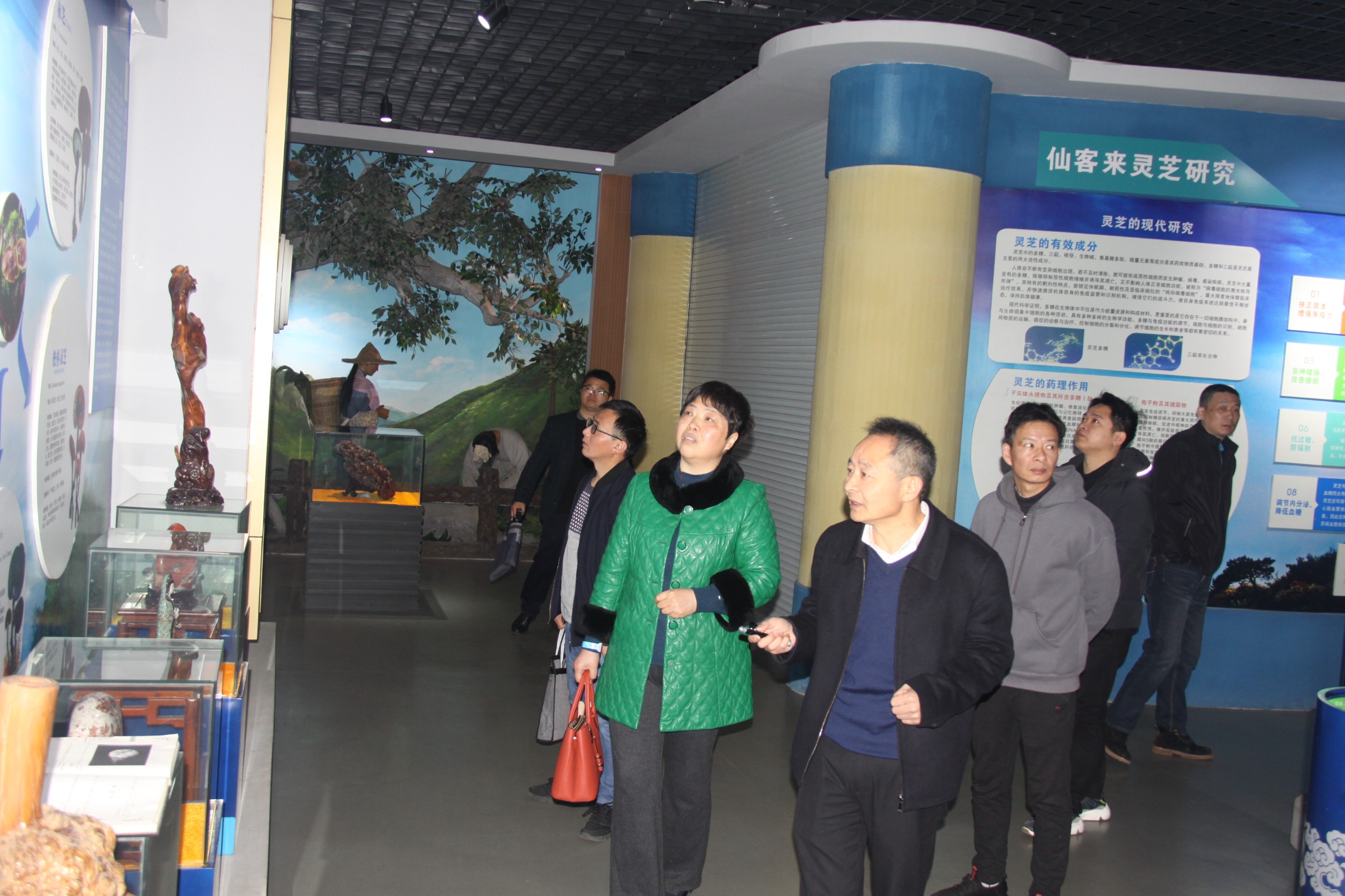 杭州亞運會官方靈芝產品供應商|杭州亞運會官方供應商|中國靈芝十大品牌|仙客來靈芝|仙客來靈芝破壁孢子粉|仙客來孢子油|仙客來靈芝飲片|仙客來破壁孢子粉|靈芝孢子油|孢子粉|靈芝破壁孢子粉|靈芝|中華老字號 杭州亞運會官方靈芝產品供應商|杭州亞運會官方供應商|中國靈芝十大品牌|仙客來靈芝|仙客來靈芝破壁孢子粉|仙客來孢子油|仙客來靈芝飲片|仙客來破壁孢子粉|靈芝孢子油|孢子粉|靈芝破壁孢子粉|靈芝|中華老字號