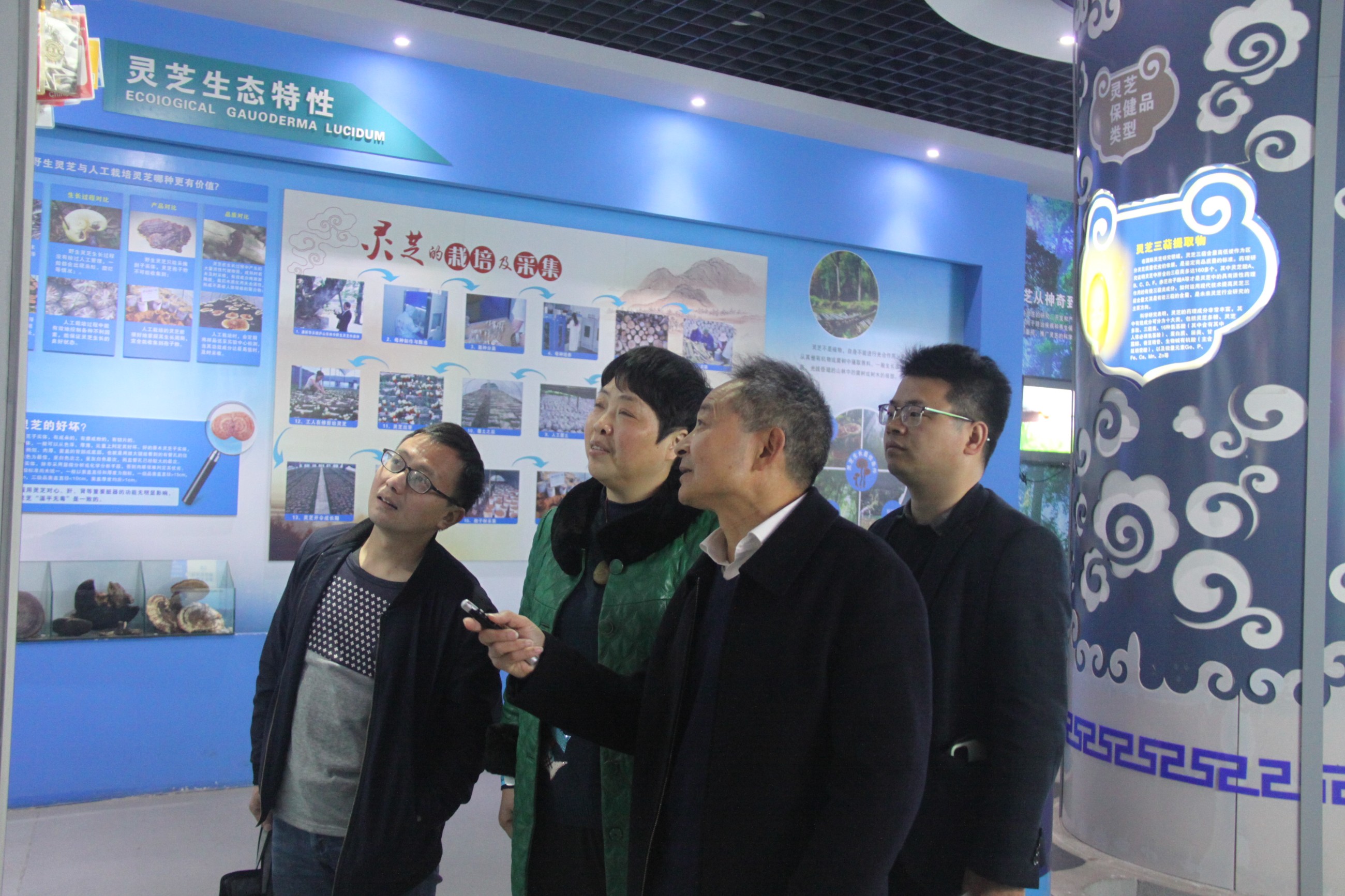 杭州亞運會官方靈芝產品供應商|杭州亞運會官方供應商|中國靈芝十大品牌|仙客來靈芝|仙客來靈芝破壁孢子粉|仙客來孢子油|仙客來靈芝飲片|仙客來破壁孢子粉|靈芝孢子油|孢子粉|靈芝破壁孢子粉|靈芝|中華老字號 杭州亞運會官方靈芝產品供應商|杭州亞運會官方供應商|中國靈芝十大品牌|仙客來靈芝|仙客來靈芝破壁孢子粉|仙客來孢子油|仙客來靈芝飲片|仙客來破壁孢子粉|靈芝孢子油|孢子粉|靈芝破壁孢子粉|靈芝|中華老字號