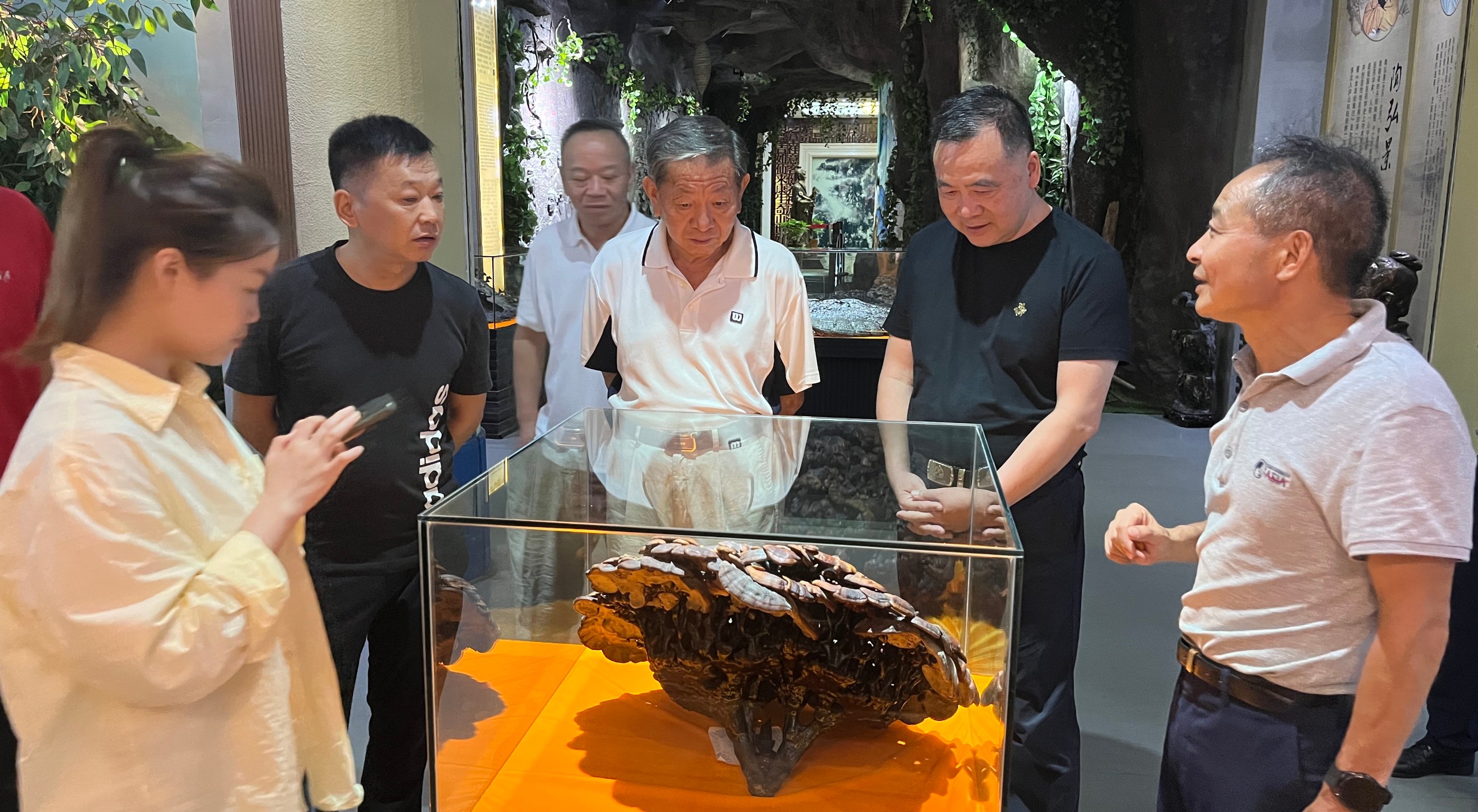 杭州亞運(yùn)會(huì)官方靈芝產(chǎn)品供應(yīng)商|杭州亞運(yùn)會(huì)官方供應(yīng)商|中國(guó)靈芝十大品牌|仙客來(lái)靈芝|仙客來(lái)靈芝破壁孢子粉|仙客來(lái)孢子油|仙客來(lái)靈芝飲片|仙客來(lái)破壁孢子粉|靈芝孢子油|孢子粉|靈芝破壁孢子粉|靈芝|中華老字號(hào) 杭州亞運(yùn)會(huì)官方靈芝產(chǎn)品供應(yīng)商|杭州亞運(yùn)會(huì)官方供應(yīng)商|中國(guó)靈芝十大品牌|仙客來(lái)靈芝|仙客來(lái)靈芝破壁孢子粉|仙客來(lái)孢子油|仙客來(lái)靈芝飲片|仙客來(lái)破壁孢子粉|靈芝孢子油|孢子粉|靈芝破壁孢子粉|靈芝|中華老字號(hào)