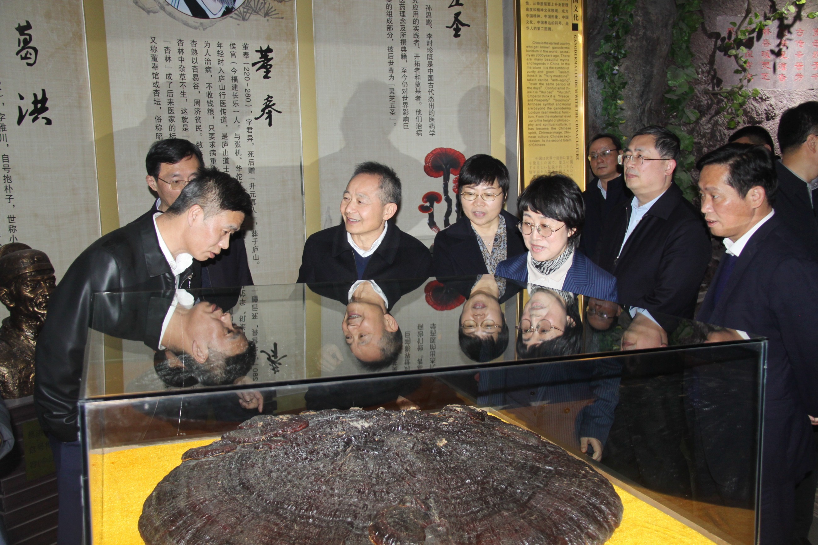 杭州亞運會官方靈芝產(chǎn)品供應商|杭州亞運會官方供應商|中國靈芝十大品牌|仙客來靈芝|仙客來靈芝破壁孢子粉|仙客來孢子油|仙客來靈芝飲片|仙客來破壁孢子粉|靈芝孢子油|孢子粉|靈芝破壁孢子粉|靈芝|中華老字號 杭州亞運會官方靈芝產(chǎn)品供應商|杭州亞運會官方供應商|中國靈芝十大品牌|仙客來靈芝|仙客來靈芝破壁孢子粉|仙客來孢子油|仙客來靈芝飲片|仙客來破壁孢子粉|靈芝孢子油|孢子粉|靈芝破壁孢子粉|靈芝|中華老字號