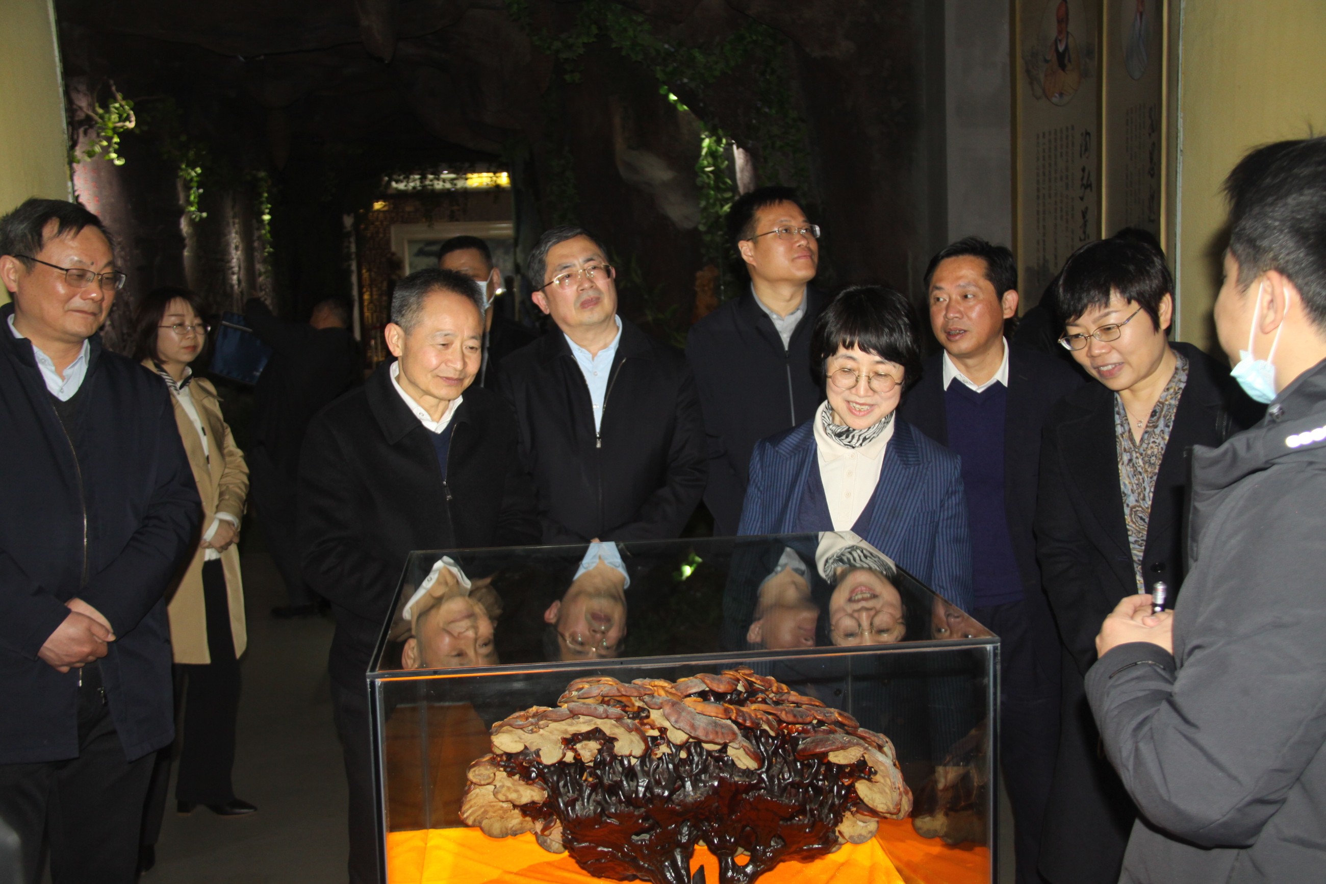 杭州亞運會官方靈芝產(chǎn)品供應商|杭州亞運會官方供應商|中國靈芝十大品牌|仙客來靈芝|仙客來靈芝破壁孢子粉|仙客來孢子油|仙客來靈芝飲片|仙客來破壁孢子粉|靈芝孢子油|孢子粉|靈芝破壁孢子粉|靈芝|中華老字號 杭州亞運會官方靈芝產(chǎn)品供應商|杭州亞運會官方供應商|中國靈芝十大品牌|仙客來靈芝|仙客來靈芝破壁孢子粉|仙客來孢子油|仙客來靈芝飲片|仙客來破壁孢子粉|靈芝孢子油|孢子粉|靈芝破壁孢子粉|靈芝|中華老字號