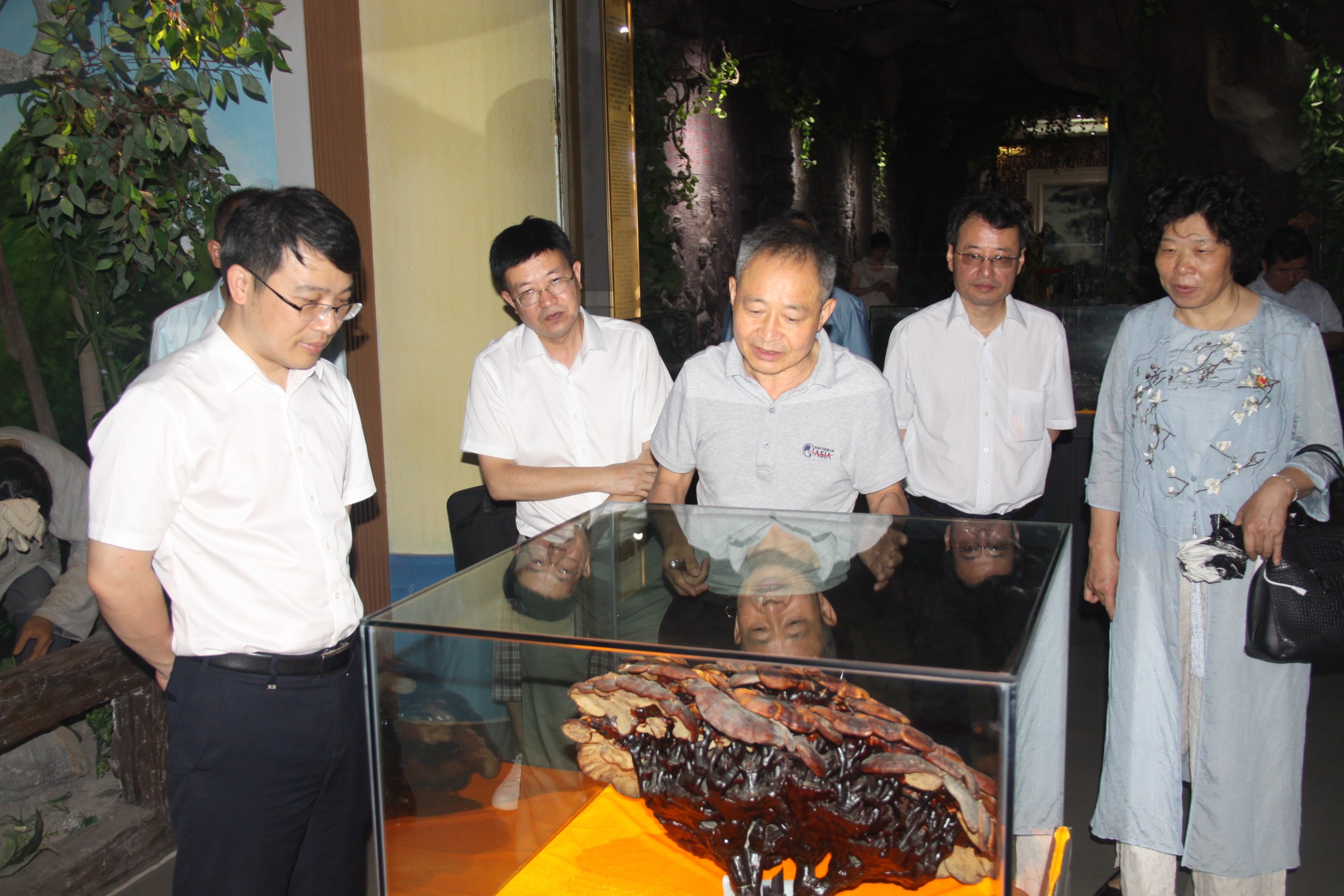 杭州亞運(yùn)會(huì)官方靈芝產(chǎn)品供應(yīng)商|杭州亞運(yùn)會(huì)官方供應(yīng)商|中國靈芝十大品牌|仙客來靈芝|仙客來靈芝破壁孢子粉|仙客來孢子油|仙客來靈芝飲片|仙客來破壁孢子粉|靈芝孢子油|孢子粉|靈芝破壁孢子粉|靈芝|中華老字號(hào) 杭州亞運(yùn)會(huì)官方靈芝產(chǎn)品供應(yīng)商|杭州亞運(yùn)會(huì)官方供應(yīng)商|中國靈芝十大品牌|仙客來靈芝|仙客來靈芝破壁孢子粉|仙客來孢子油|仙客來靈芝飲片|仙客來破壁孢子粉|靈芝孢子油|孢子粉|靈芝破壁孢子粉|靈芝|中華老字號(hào)