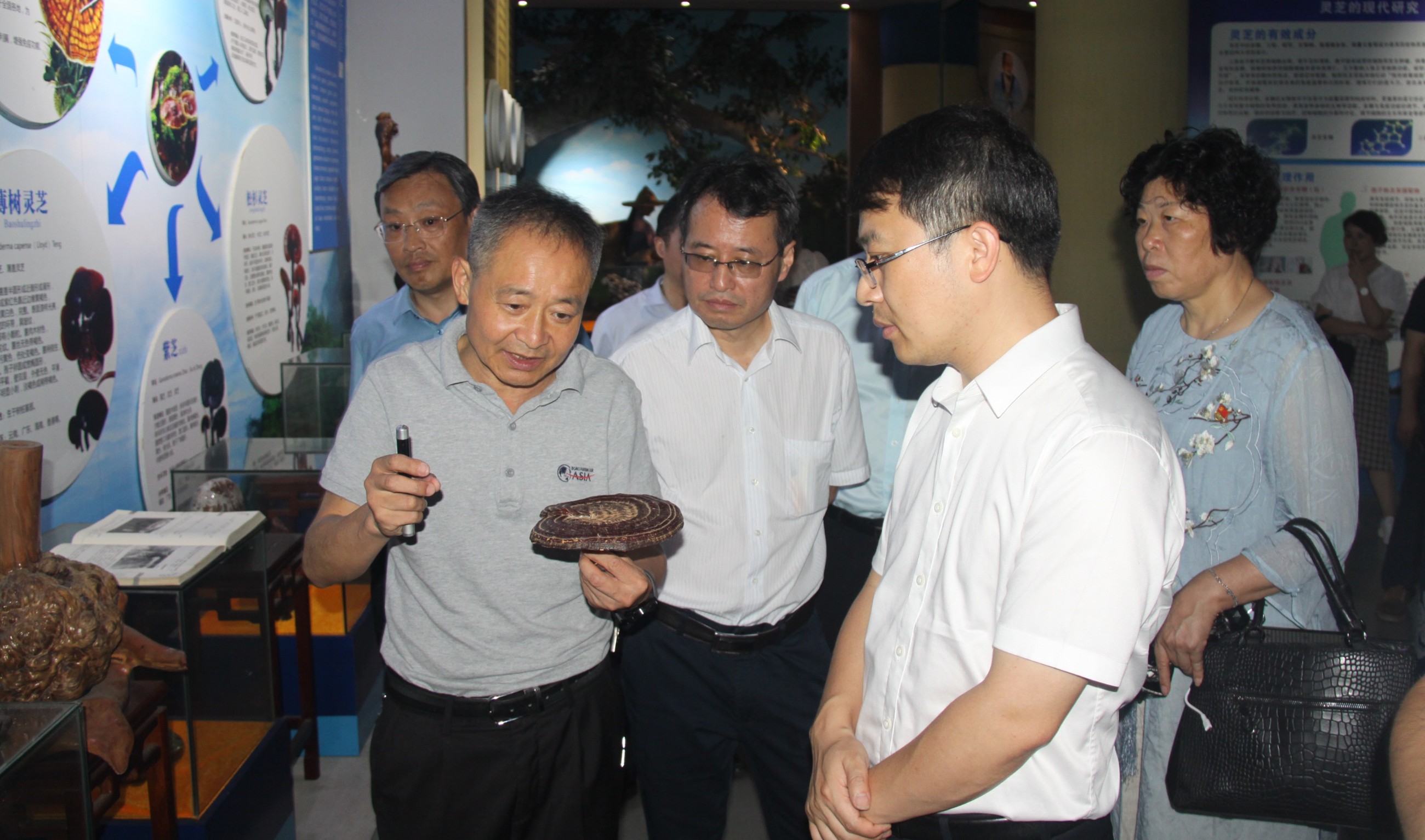 杭州亞運(yùn)會(huì)官方靈芝產(chǎn)品供應(yīng)商|杭州亞運(yùn)會(huì)官方供應(yīng)商|中國靈芝十大品牌|仙客來靈芝|仙客來靈芝破壁孢子粉|仙客來孢子油|仙客來靈芝飲片|仙客來破壁孢子粉|靈芝孢子油|孢子粉|靈芝破壁孢子粉|靈芝|中華老字號(hào) 杭州亞運(yùn)會(huì)官方靈芝產(chǎn)品供應(yīng)商|杭州亞運(yùn)會(huì)官方供應(yīng)商|中國靈芝十大品牌|仙客來靈芝|仙客來靈芝破壁孢子粉|仙客來孢子油|仙客來靈芝飲片|仙客來破壁孢子粉|靈芝孢子油|孢子粉|靈芝破壁孢子粉|靈芝|中華老字號(hào)