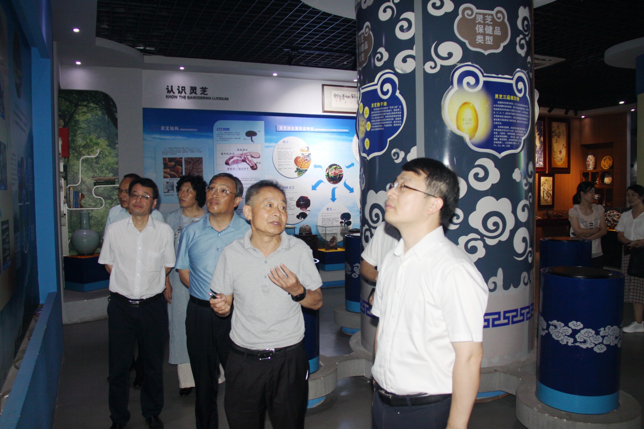 杭州亞運(yùn)會(huì)官方靈芝產(chǎn)品供應(yīng)商|杭州亞運(yùn)會(huì)官方供應(yīng)商|中國靈芝十大品牌|仙客來靈芝|仙客來靈芝破壁孢子粉|仙客來孢子油|仙客來靈芝飲片|仙客來破壁孢子粉|靈芝孢子油|孢子粉|靈芝破壁孢子粉|靈芝|中華老字號(hào) 杭州亞運(yùn)會(huì)官方靈芝產(chǎn)品供應(yīng)商|杭州亞運(yùn)會(huì)官方供應(yīng)商|中國靈芝十大品牌|仙客來靈芝|仙客來靈芝破壁孢子粉|仙客來孢子油|仙客來靈芝飲片|仙客來破壁孢子粉|靈芝孢子油|孢子粉|靈芝破壁孢子粉|靈芝|中華老字號(hào)