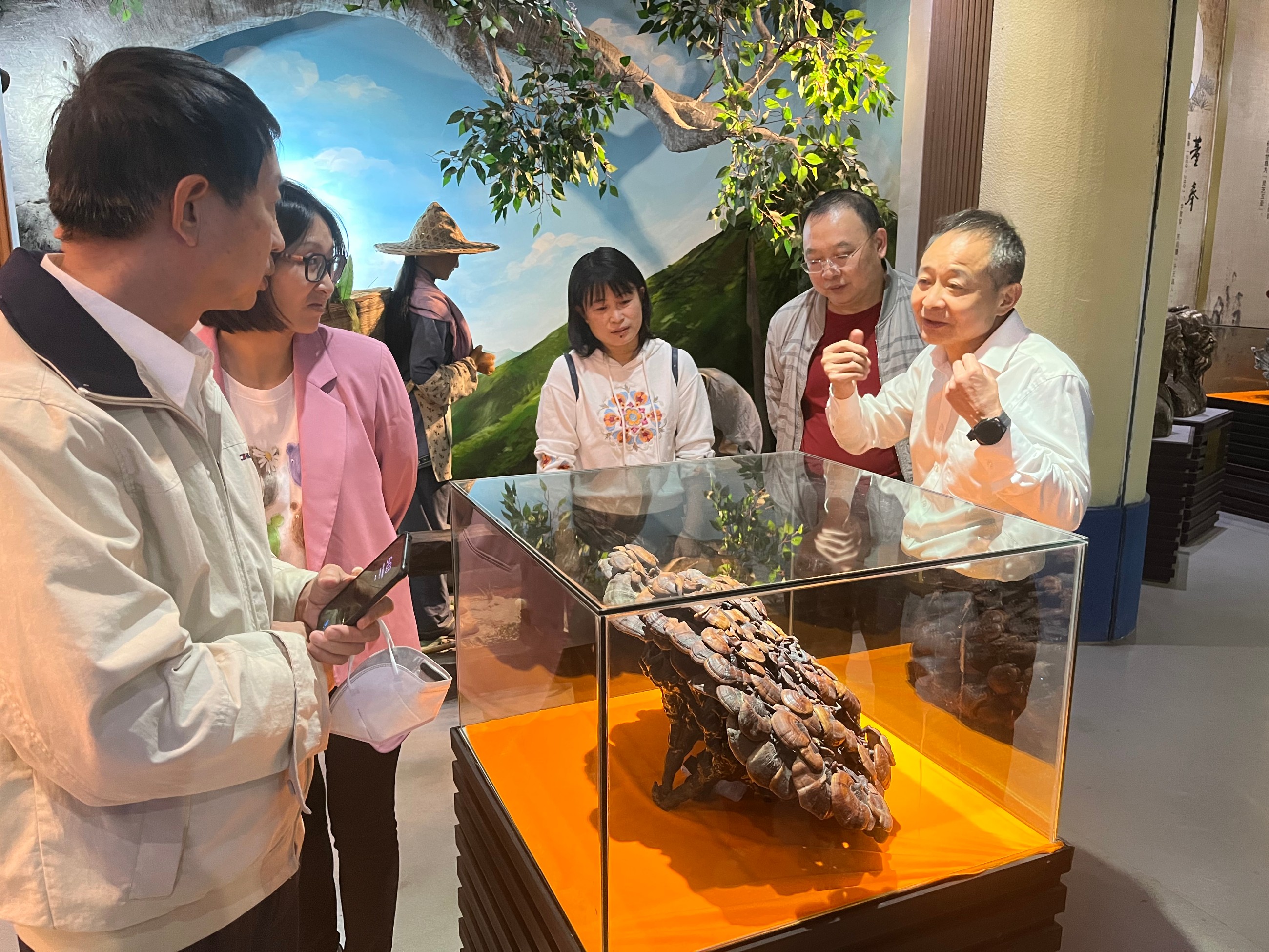 杭州亞運會官方靈芝產品供應商|杭州亞運會官方供應商|中國靈芝十大品牌|仙客來靈芝|仙客來靈芝破壁孢子粉|仙客來孢子油|仙客來靈芝飲片|仙客來破壁孢子粉|靈芝孢子油|孢子粉|靈芝破壁孢子粉|靈芝|中華老字號 杭州亞運會官方靈芝產品供應商|杭州亞運會官方供應商|中國靈芝十大品牌|仙客來靈芝|仙客來靈芝破壁孢子粉|仙客來孢子油|仙客來靈芝飲片|仙客來破壁孢子粉|靈芝孢子油|孢子粉|靈芝破壁孢子粉|靈芝|中華老字號