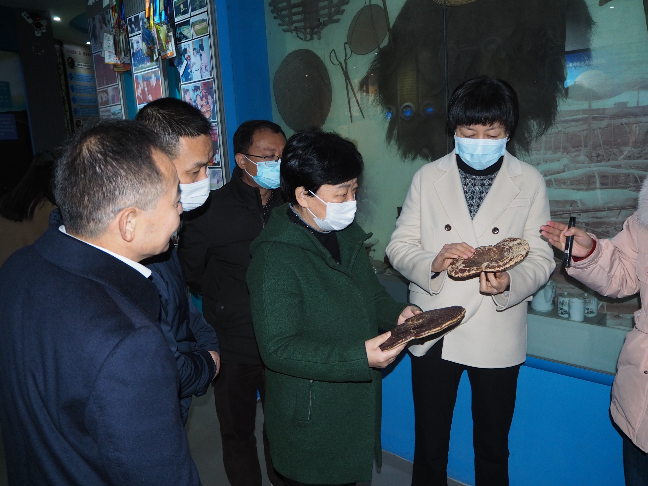 杭州亞運(yùn)會(huì)官方靈芝產(chǎn)品供應(yīng)商|杭州亞運(yùn)會(huì)官方供應(yīng)商|中國(guó)靈芝十大品牌|仙客來(lái)靈芝|仙客來(lái)靈芝破壁孢子粉|仙客來(lái)孢子油|仙客來(lái)靈芝飲片|仙客來(lái)破壁孢子粉|靈芝孢子油|孢子粉|靈芝破壁孢子粉|靈芝|中華老字號(hào) 杭州亞運(yùn)會(huì)官方靈芝產(chǎn)品供應(yīng)商|杭州亞運(yùn)會(huì)官方供應(yīng)商|中國(guó)靈芝十大品牌|仙客來(lái)靈芝|仙客來(lái)靈芝破壁孢子粉|仙客來(lái)孢子油|仙客來(lái)靈芝飲片|仙客來(lái)破壁孢子粉|靈芝孢子油|孢子粉|靈芝破壁孢子粉|靈芝|中華老字號(hào)