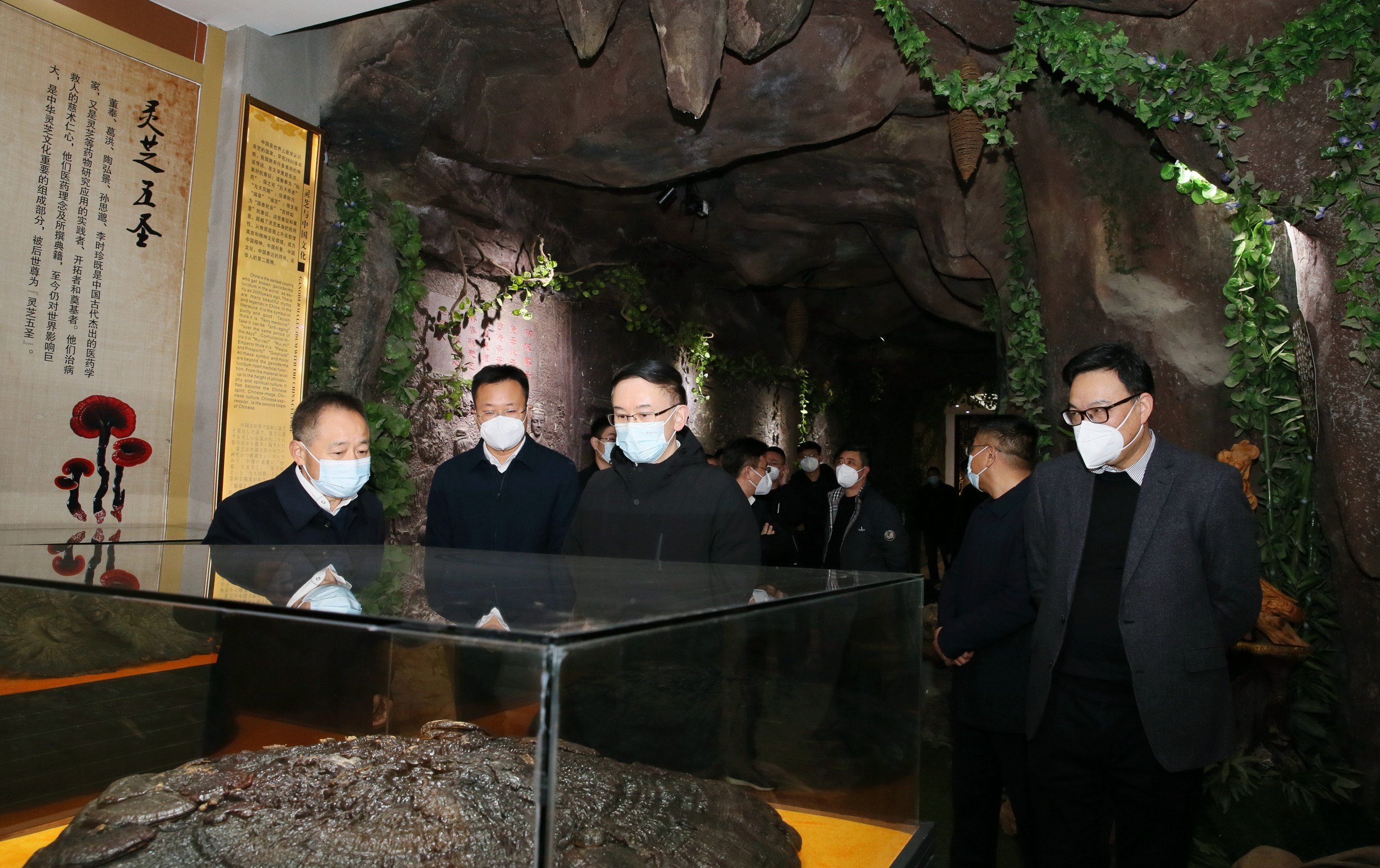 杭州亞運(yùn)會(huì)官方靈芝產(chǎn)品供應(yīng)商|杭州亞運(yùn)會(huì)官方供應(yīng)商|中國(guó)靈芝十大品牌|仙客來靈芝|仙客來靈芝破壁孢子粉|仙客來孢子油|仙客來靈芝飲片|仙客來破壁孢子粉|靈芝孢子油|孢子粉|靈芝破壁孢子粉|靈芝|中華老字號(hào)