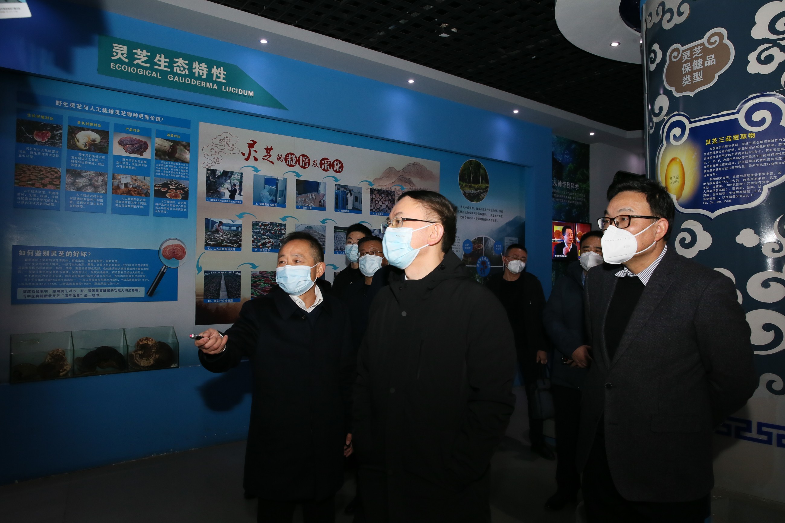 杭州亞運(yùn)會(huì)官方靈芝產(chǎn)品供應(yīng)商|杭州亞運(yùn)會(huì)官方供應(yīng)商|中國(guó)靈芝十大品牌|仙客來靈芝|仙客來靈芝破壁孢子粉|仙客來孢子油|仙客來靈芝飲片|仙客來破壁孢子粉|靈芝孢子油|孢子粉|靈芝破壁孢子粉|靈芝|中華老字號(hào)