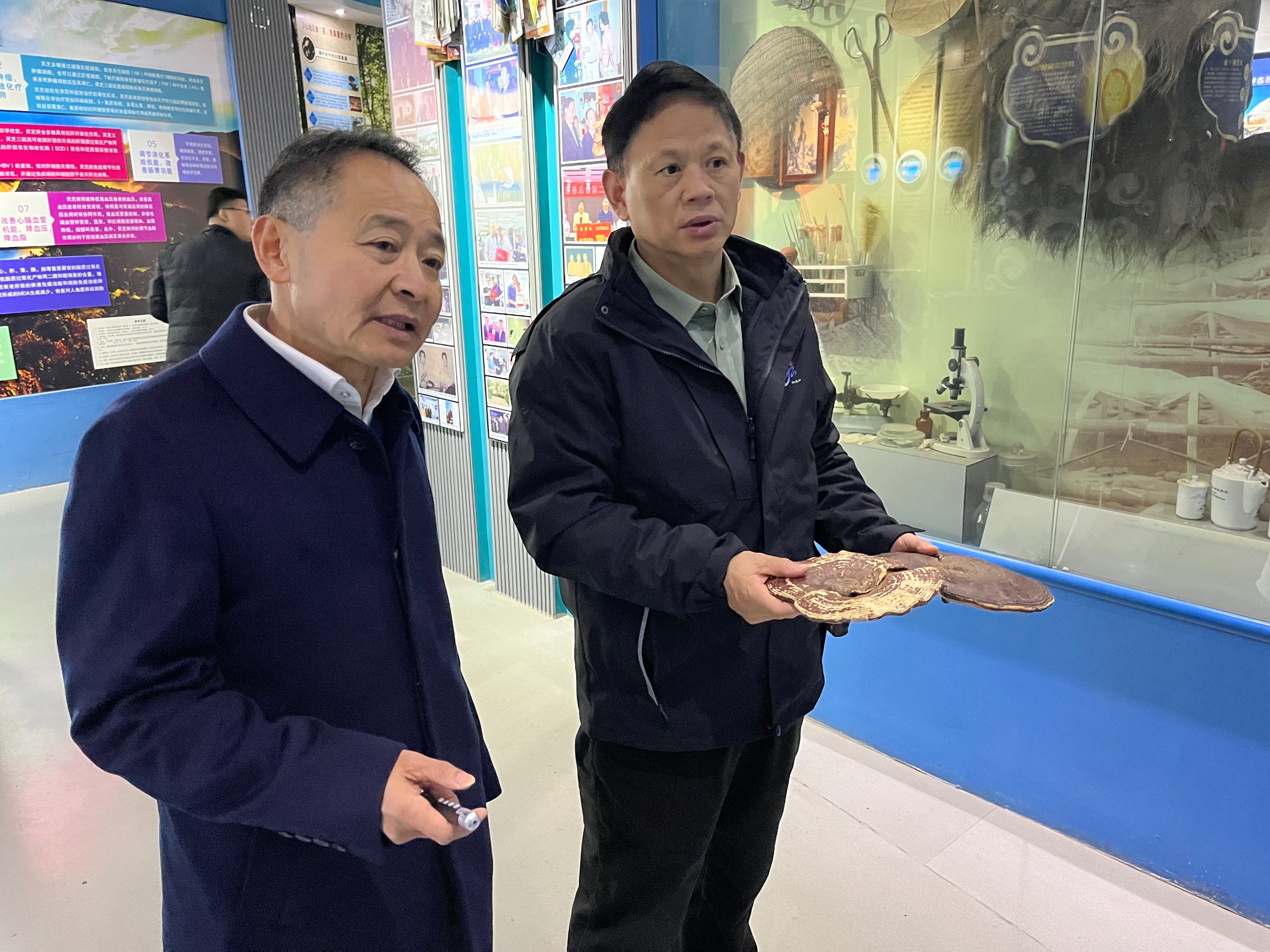 杭州亞運會官方靈芝產(chǎn)品供應商|杭州亞運會官方供應商|中國靈芝十大品牌|仙客來靈芝|仙客來靈芝破壁孢子粉|仙客來孢子油|仙客來靈芝飲片|仙客來破壁孢子粉|靈芝孢子油|孢子粉|靈芝破壁孢子粉|靈芝|中華老字號 杭州亞運會官方靈芝產(chǎn)品供應商|杭州亞運會官方供應商|中國靈芝十大品牌|仙客來靈芝|仙客來靈芝破壁孢子粉|仙客來孢子油|仙客來靈芝飲片|仙客來破壁孢子粉|靈芝孢子油|孢子粉|靈芝破壁孢子粉|靈芝|中華老字號