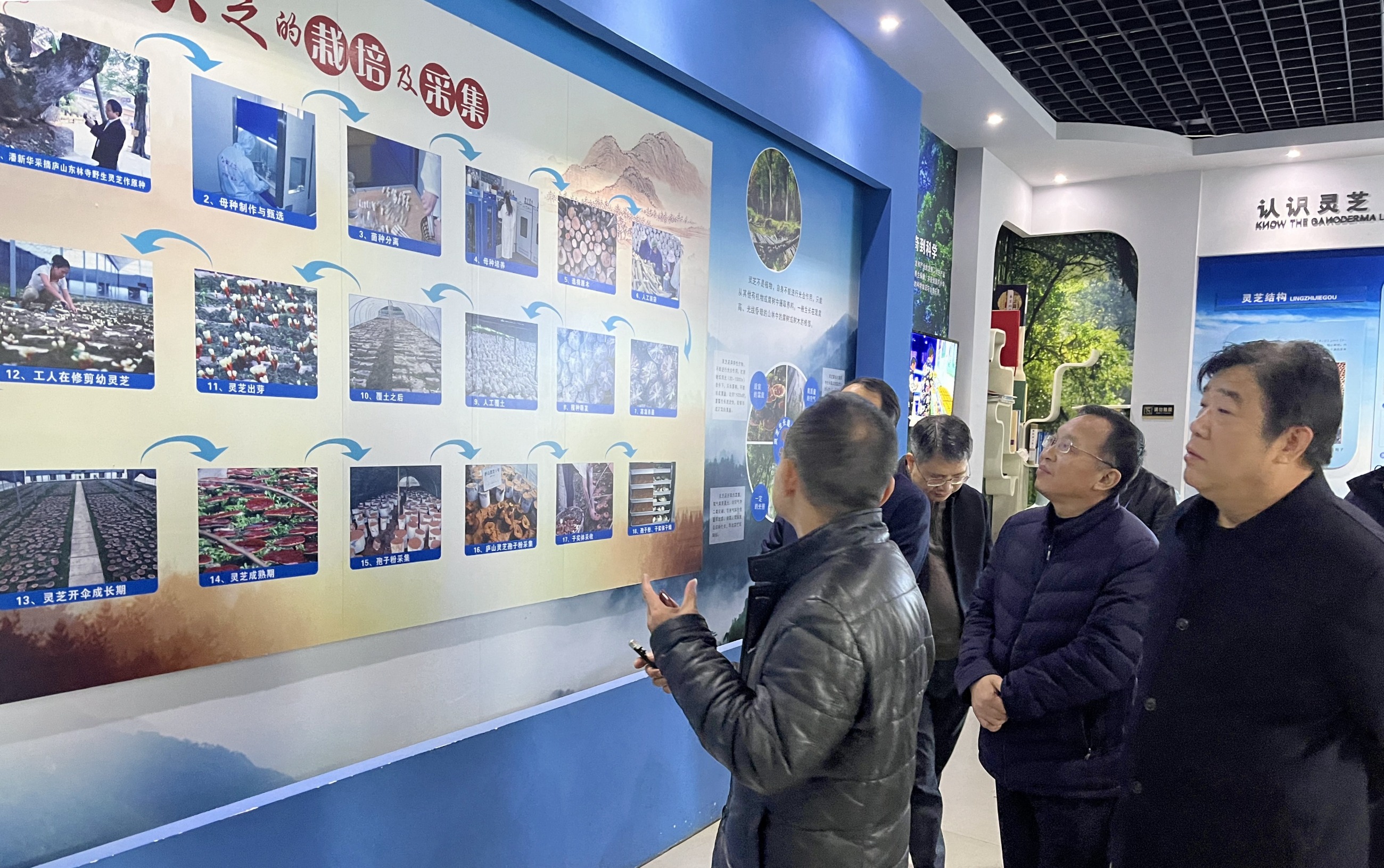 杭州亞運會官方靈芝產品供應商|杭州亞運會官方供應商|中國靈芝十大品牌|仙客來靈芝|仙客來靈芝破壁孢子粉|仙客來孢子油|仙客來靈芝飲片|仙客來破壁孢子粉|靈芝孢子油|孢子粉|靈芝破壁孢子粉|靈芝|中華老字號 杭州亞運會官方靈芝產品供應商|杭州亞運會官方供應商|中國靈芝十大品牌|仙客來靈芝|仙客來靈芝破壁孢子粉|仙客來孢子油|仙客來靈芝飲片|仙客來破壁孢子粉|靈芝孢子油|孢子粉|靈芝破壁孢子粉|靈芝|中華老字號